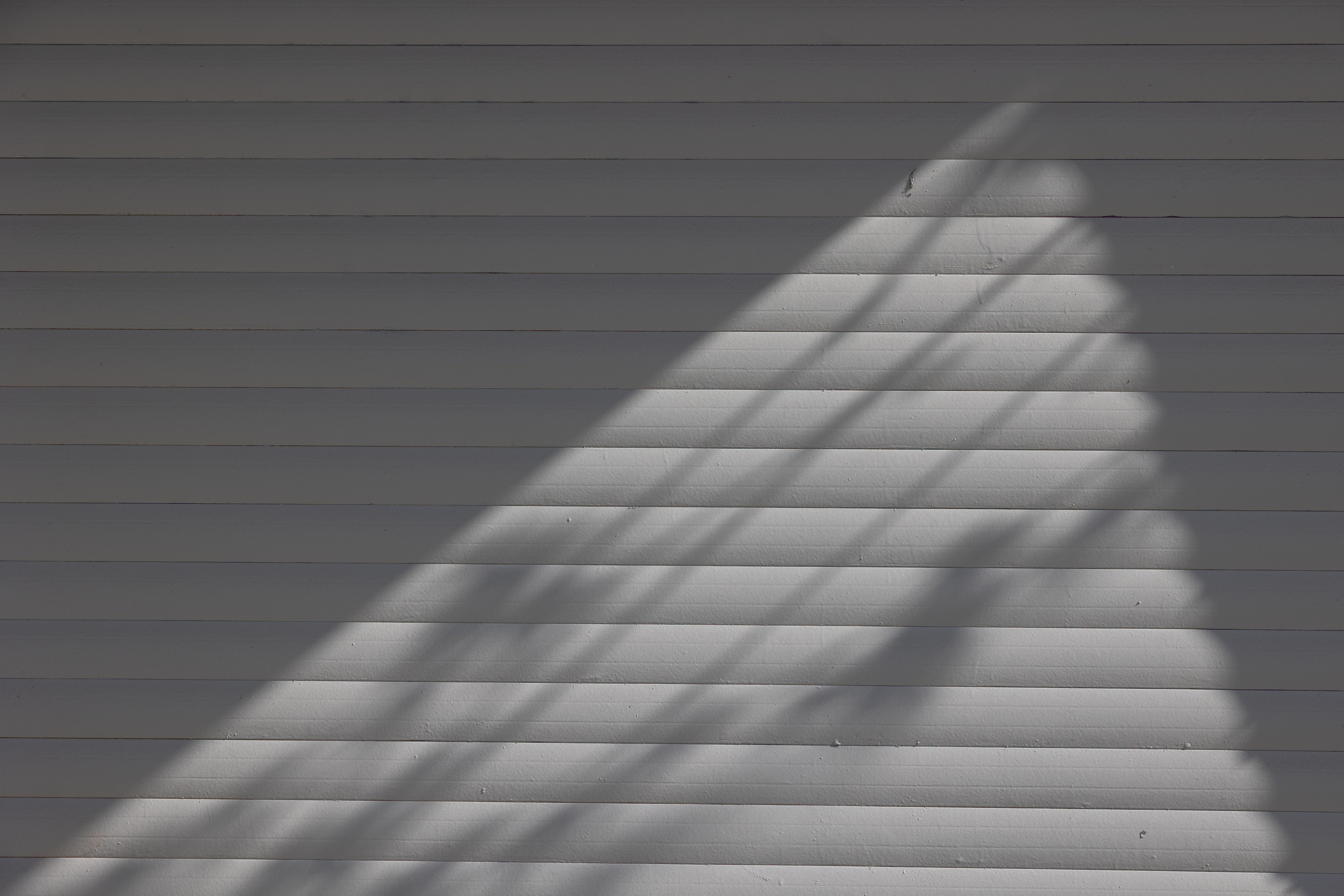 Art prints. Фотограф алина стерхова, алина стерхова фотограф, фотограф москва