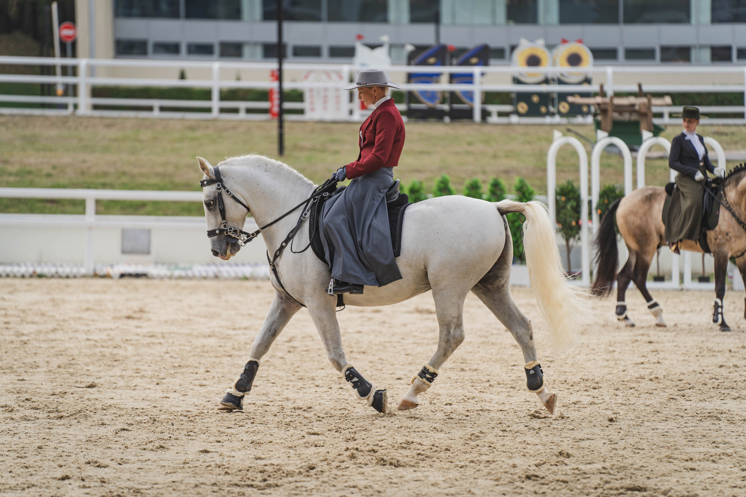 Мастер-класс по рабочей выездке. Фотограф в Москве Ленарская Дарья