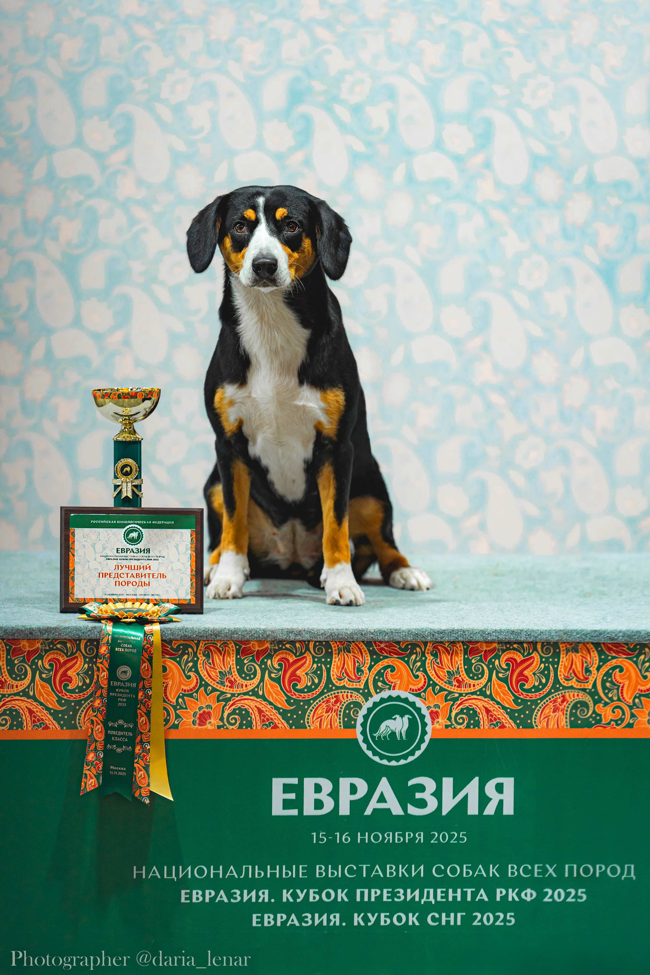 Выставки собак. Фотограф в Москве Ленарская Дарья