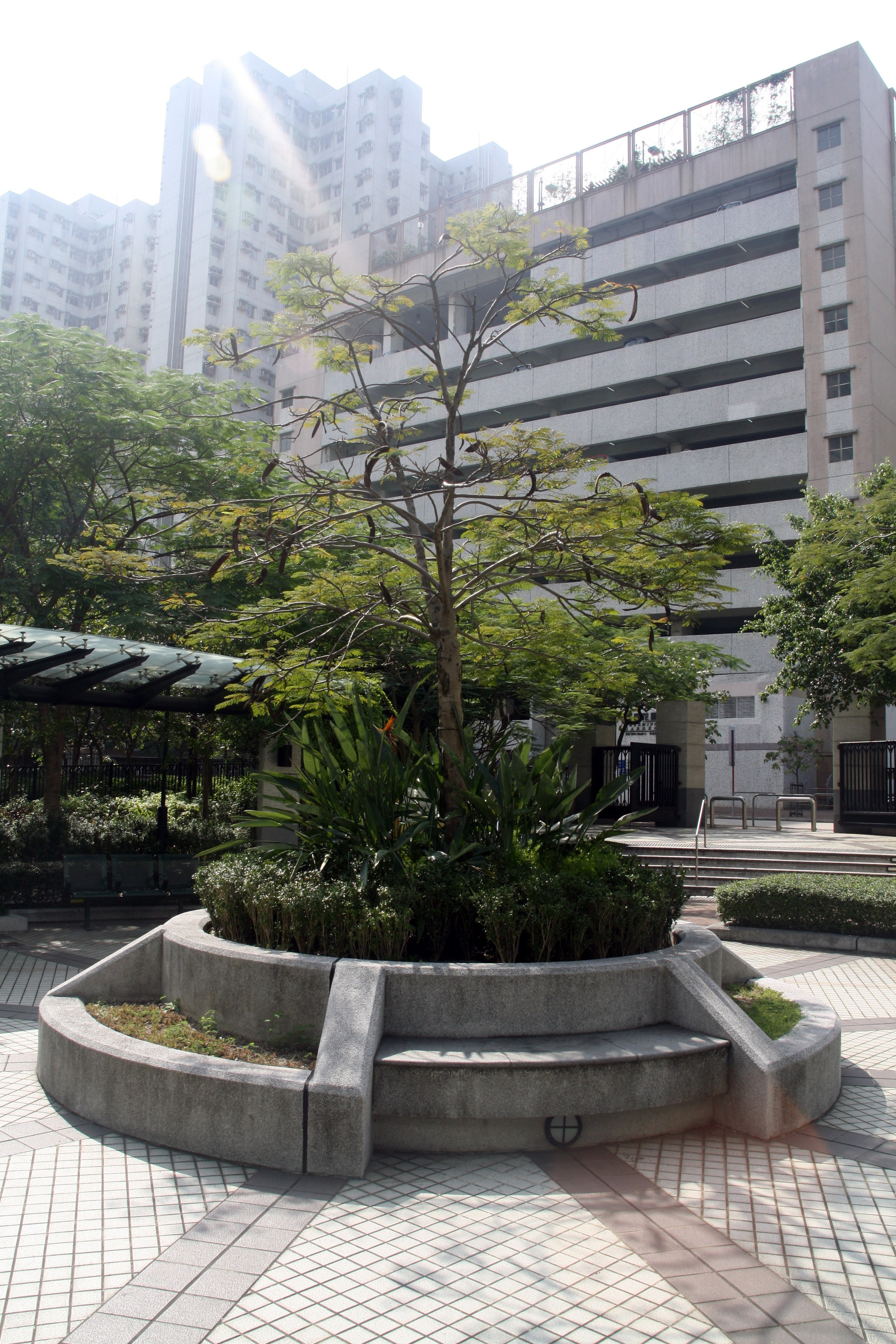 Гонконг. Фотограф Алексей Федорищев