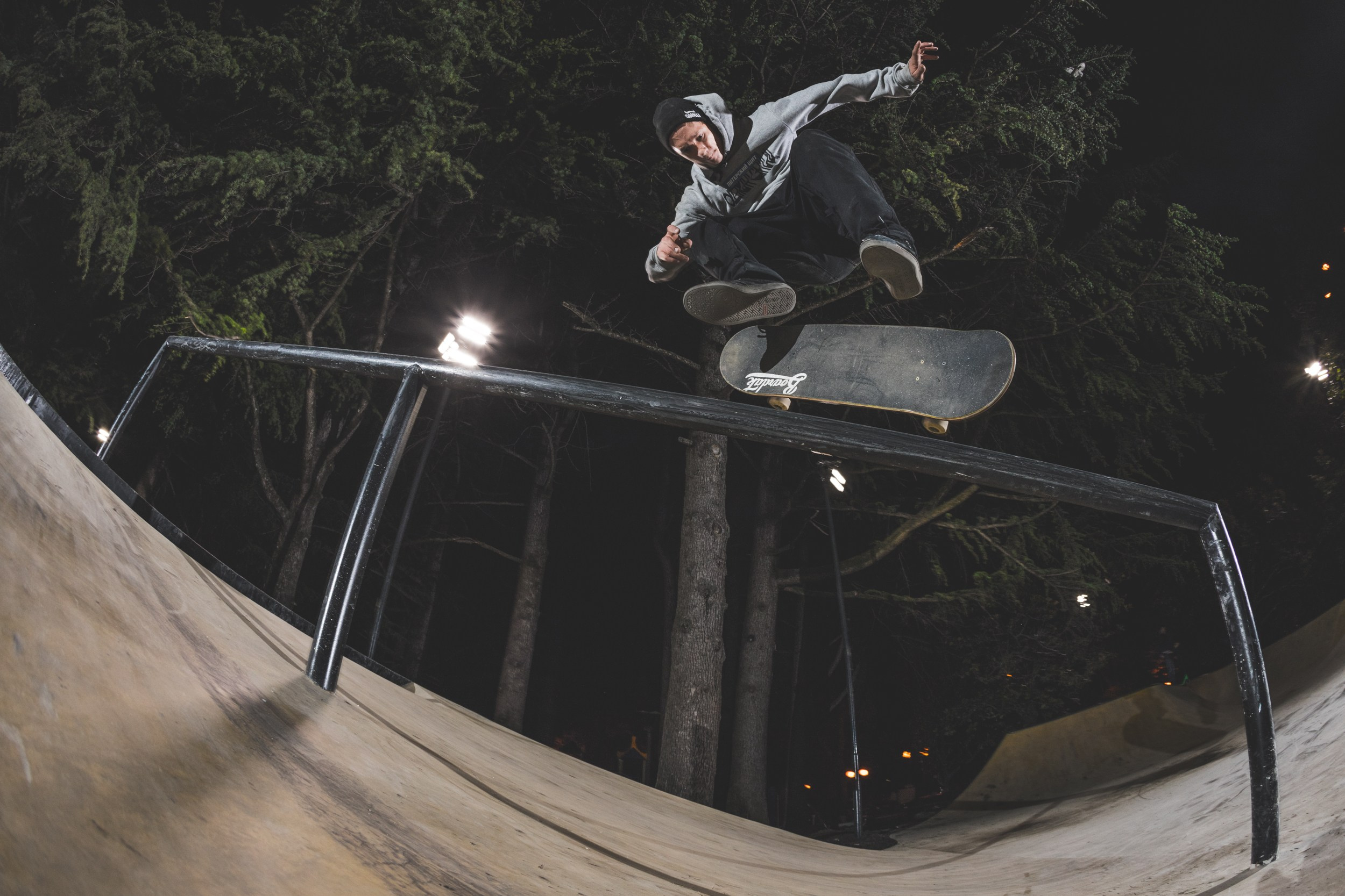 Random photo roulette. Bivol images