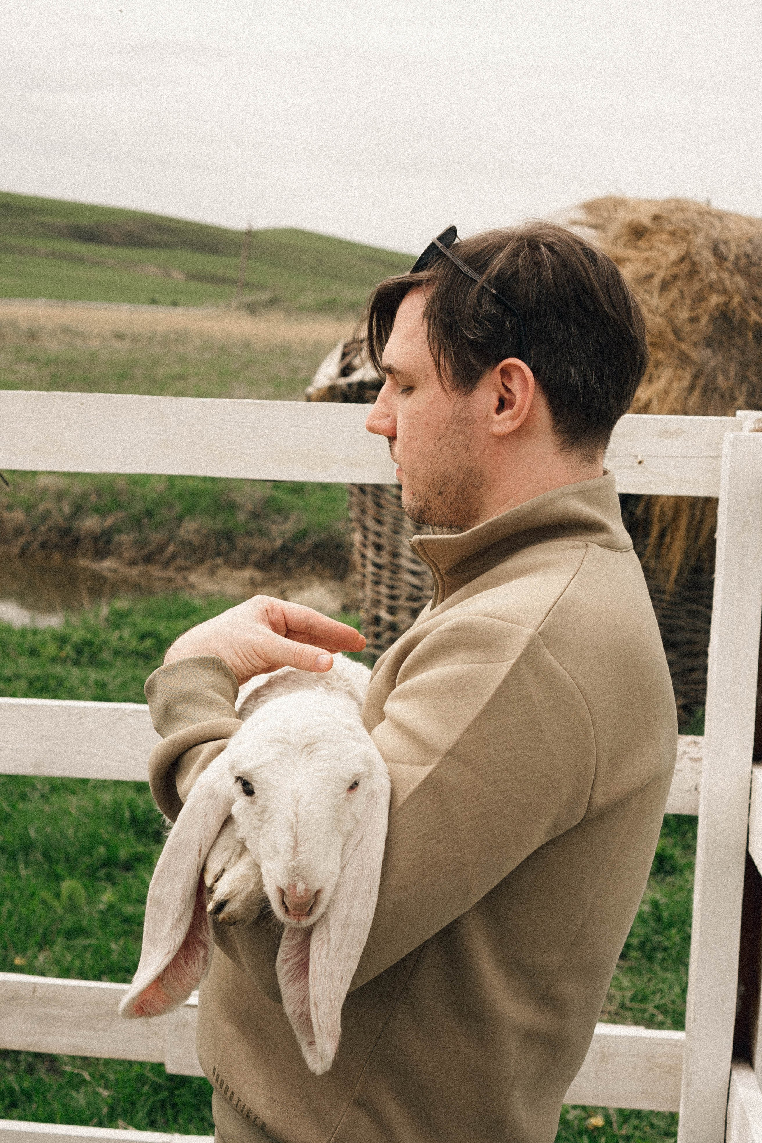Ферма Альпак. Профессиональный фотограф, Санкт-Петербург — Виктория Богомолова