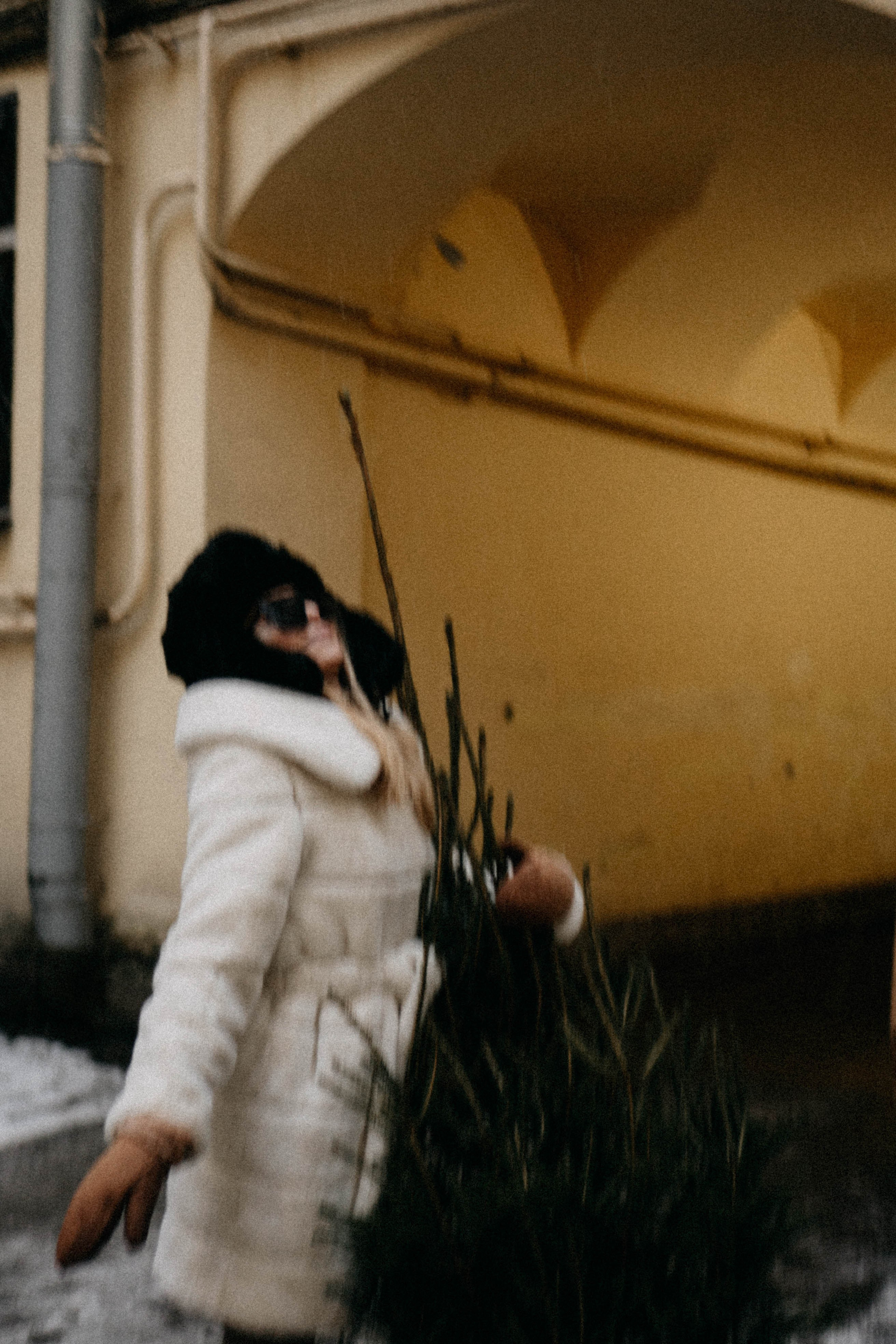 Новогодняя. Профессиональный фотограф, Санкт-Петербург — Виктория Богомолова