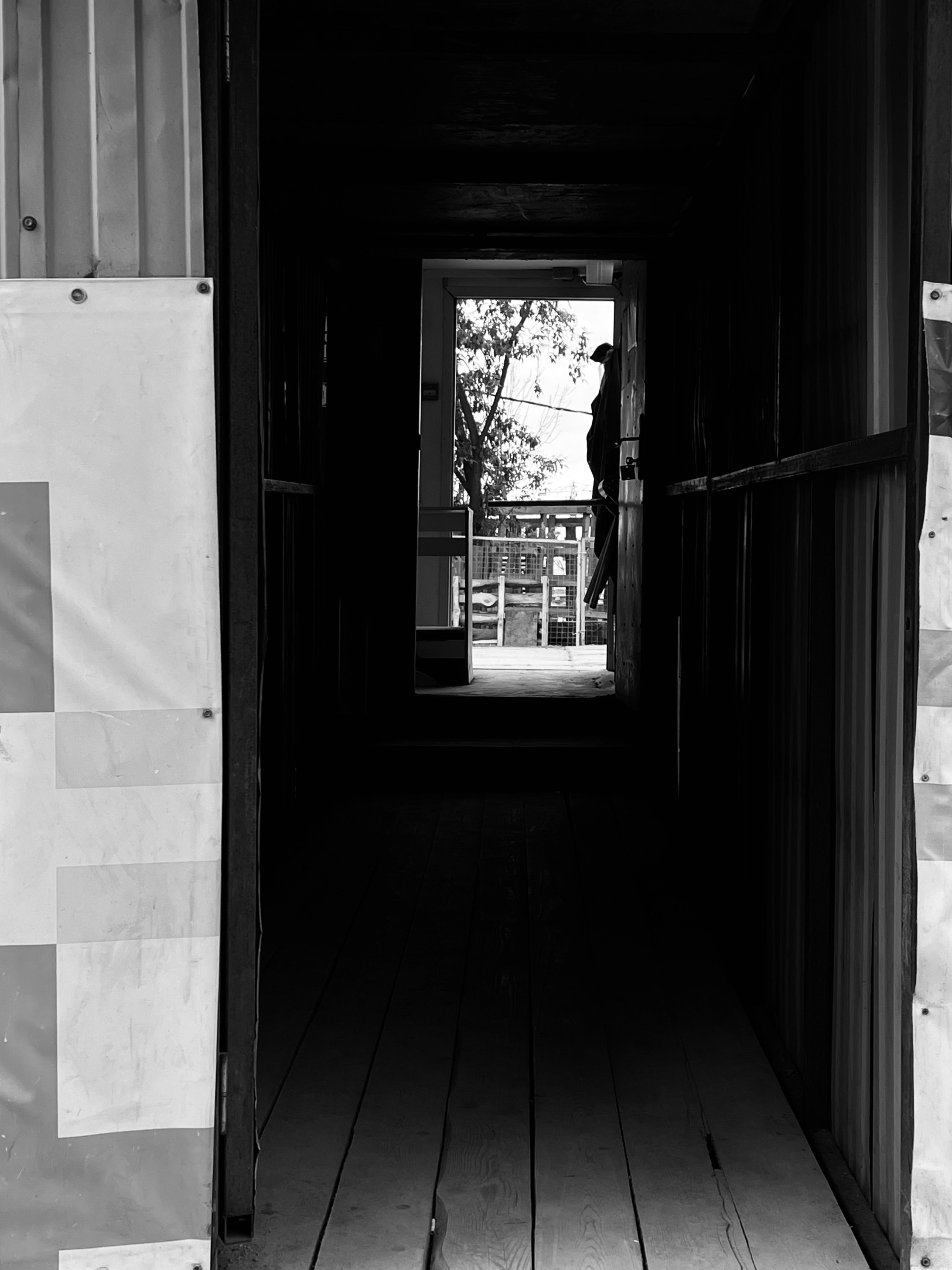 5=30. Елизавета БаковА