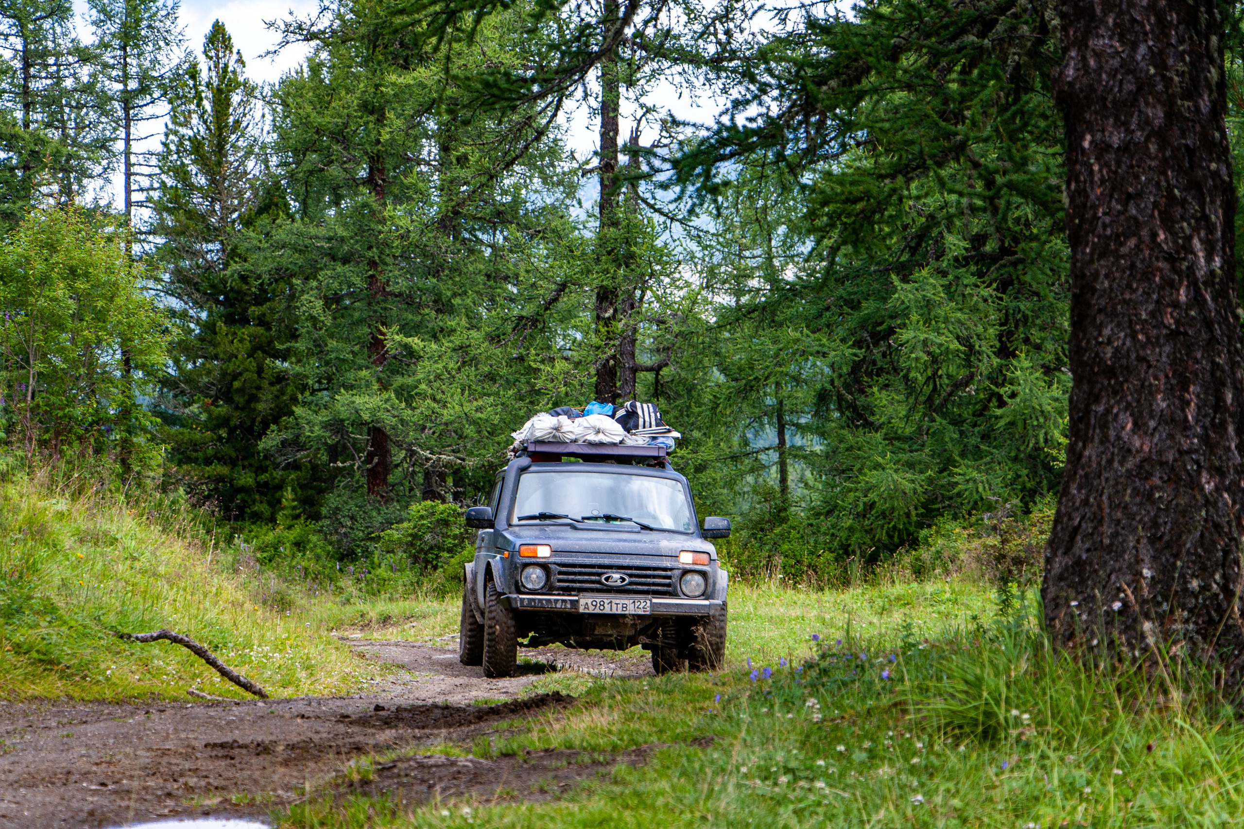 Укок 2022. Gennady Travel