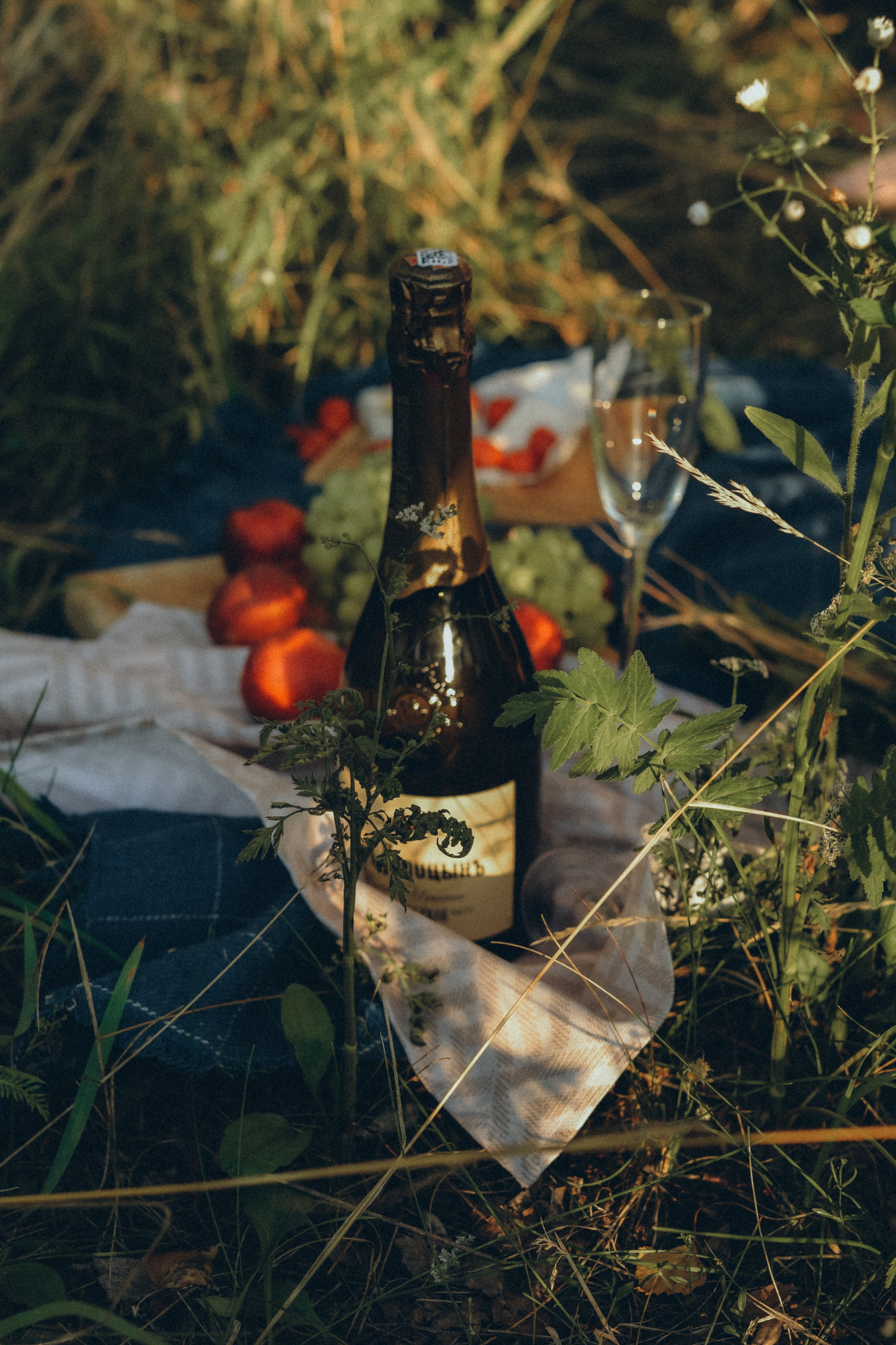 Семья Бычковых. Фотограф в Москве Ангелина Ким