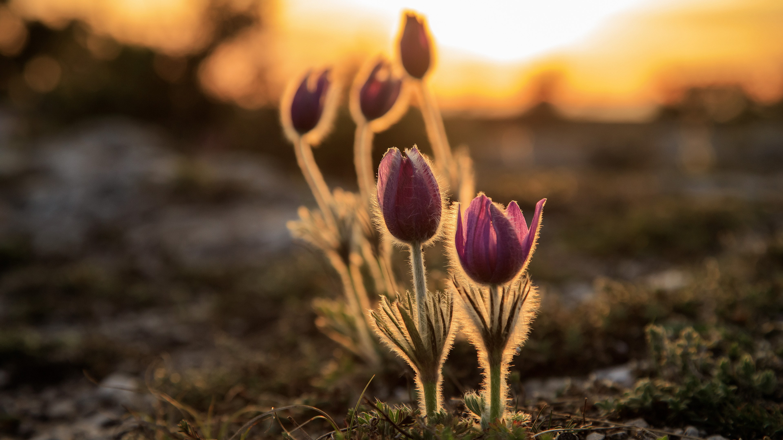 Фотозарисовки. Фотограф Александр Лайкачев