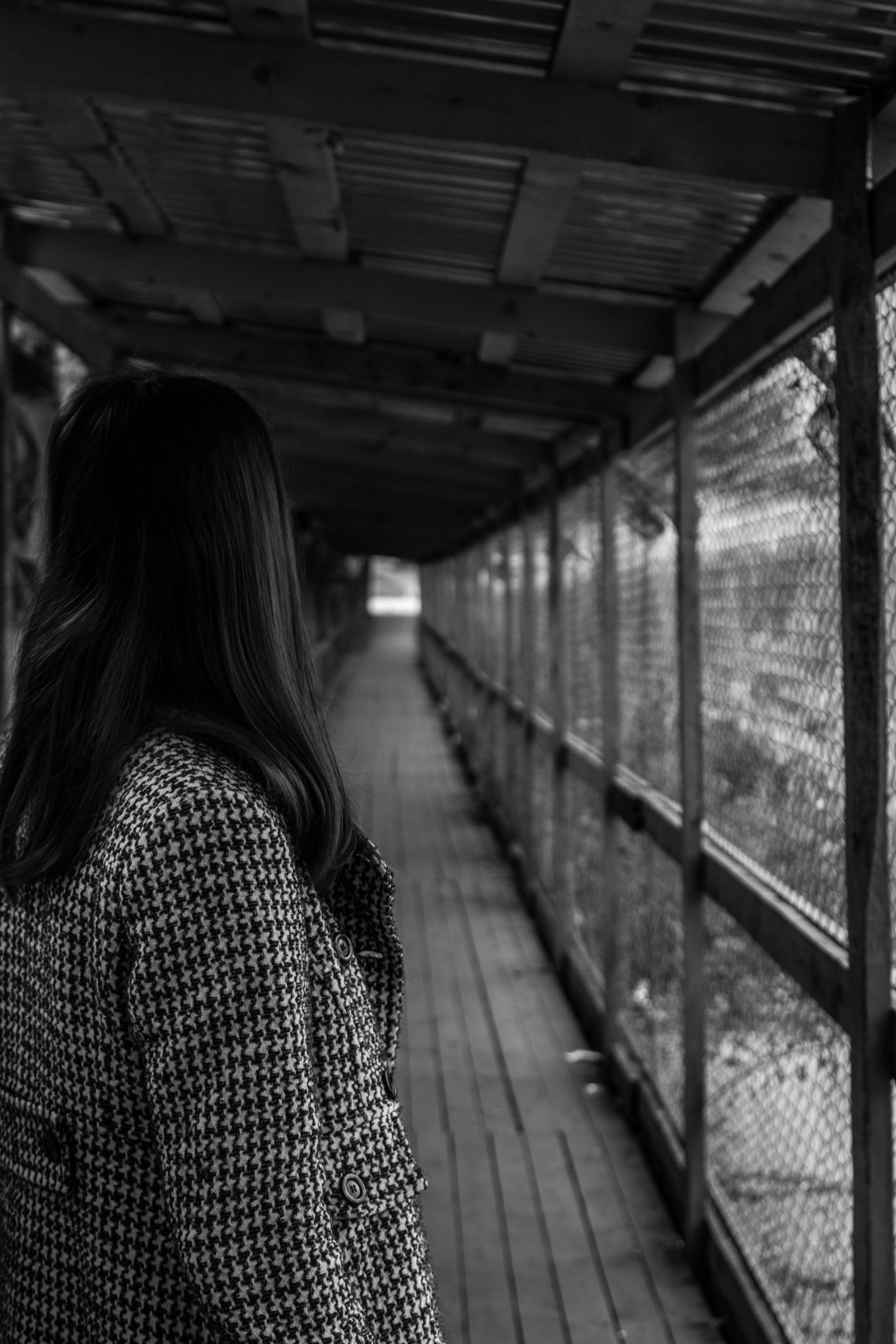 Черно-белая прогулка