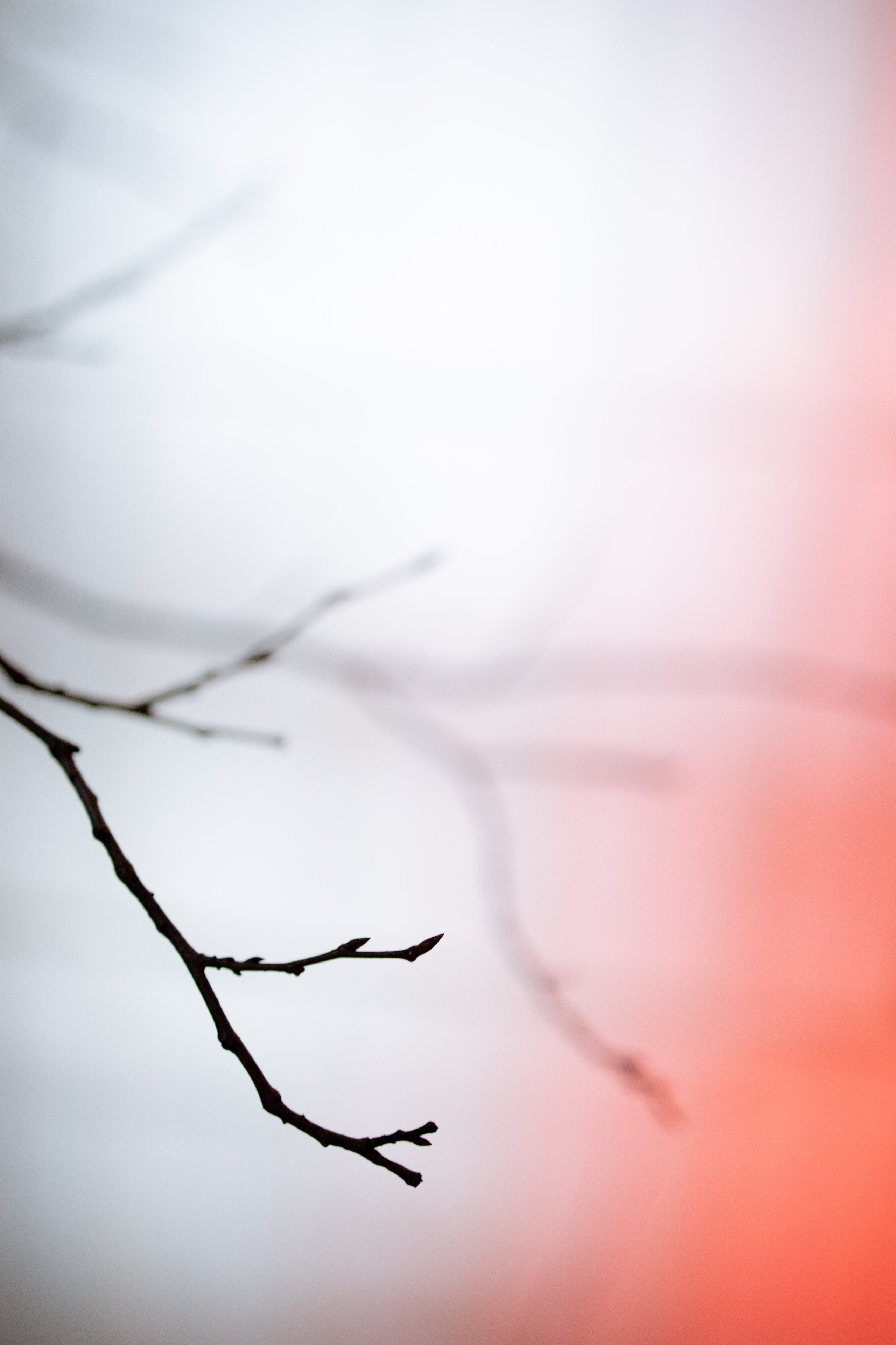 Новогодний корпоратив в фольклорном стиле. Особняк Лемана. Оформление свадеб, декор свадеб Вера Маркова, Москва