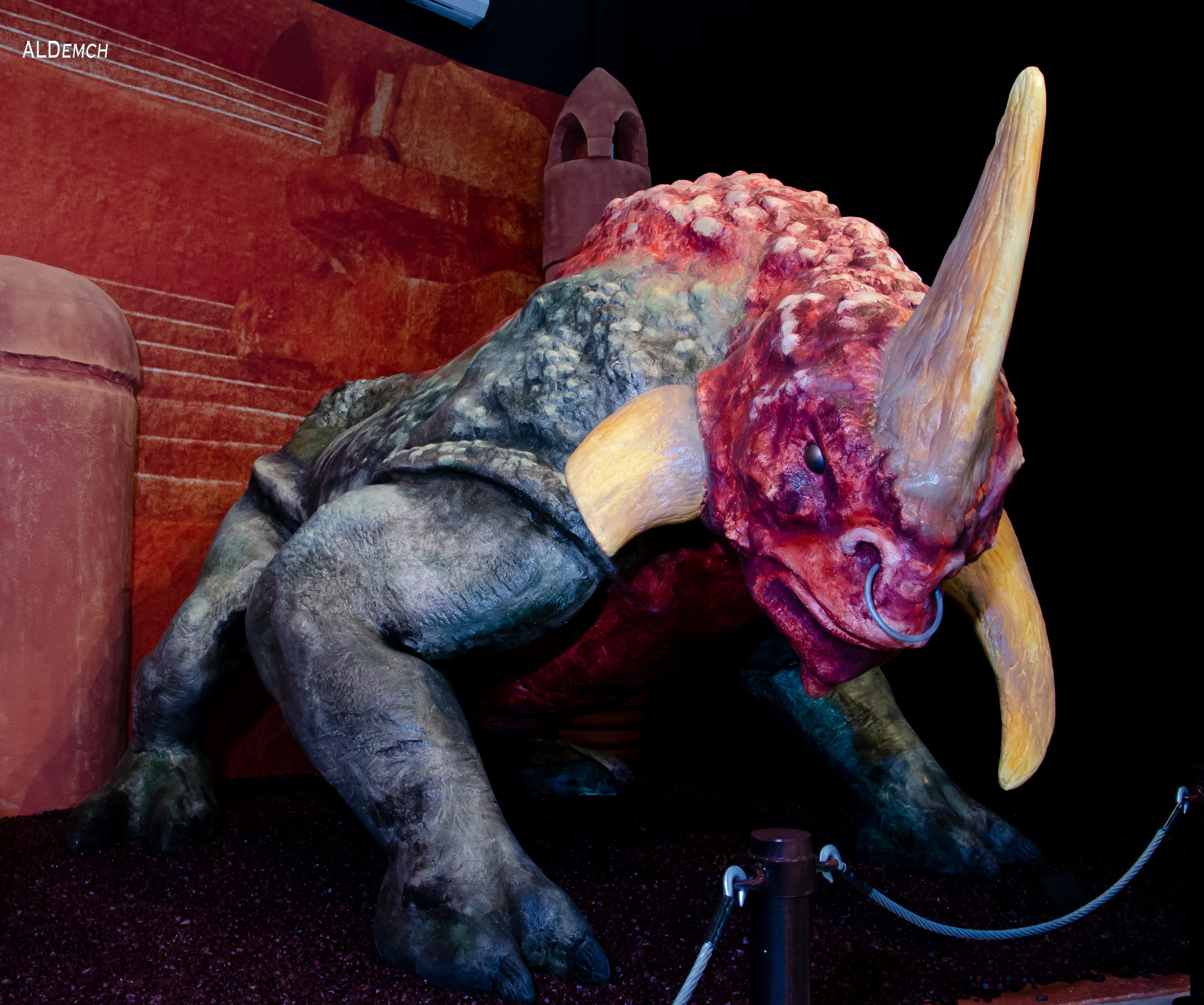 Фотосессия на ВДНХ косплей выставки по звёздным войнам