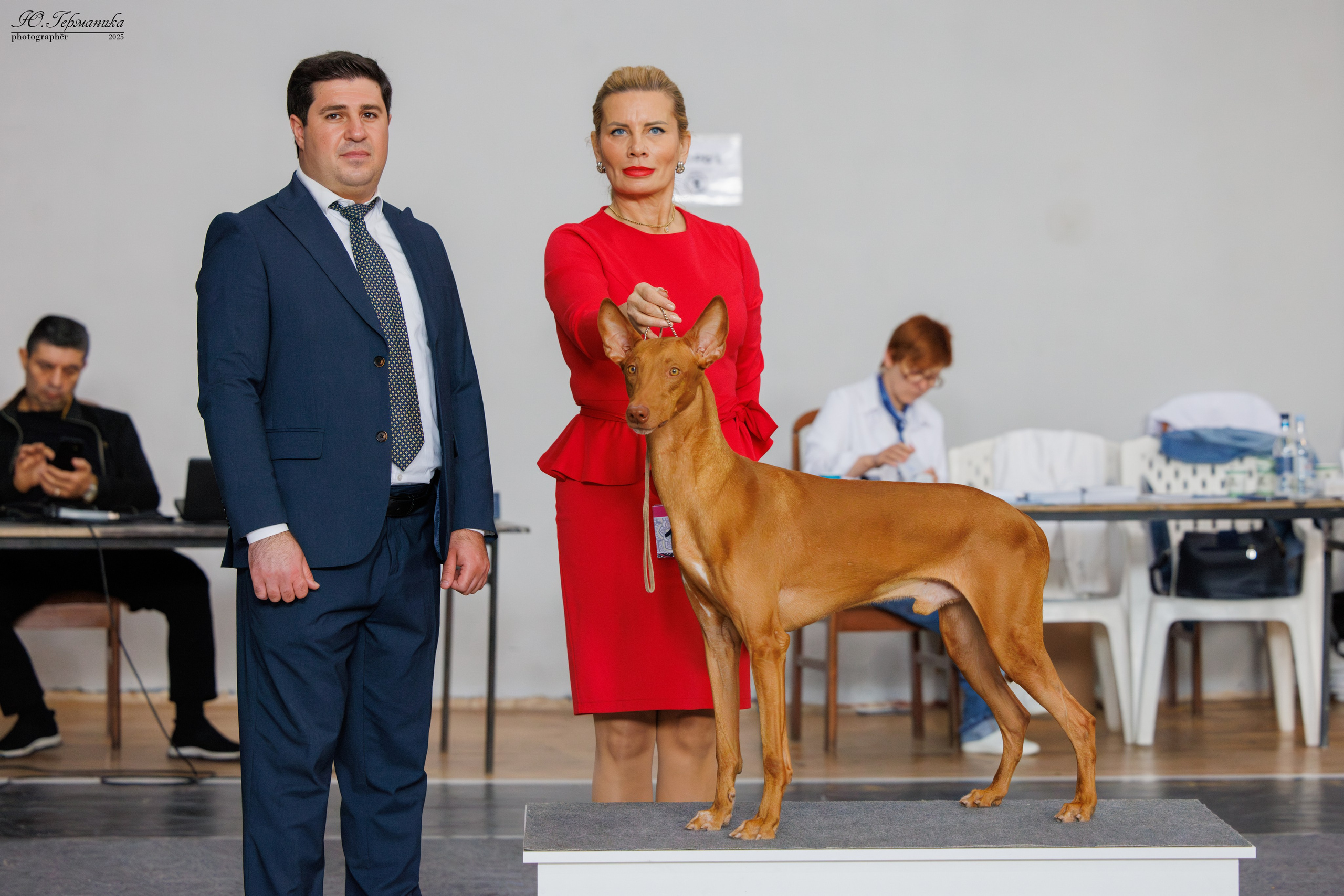 Ереван 2х CACIB 29-30.04.2025. Фотограф-анималист Юлия Германика