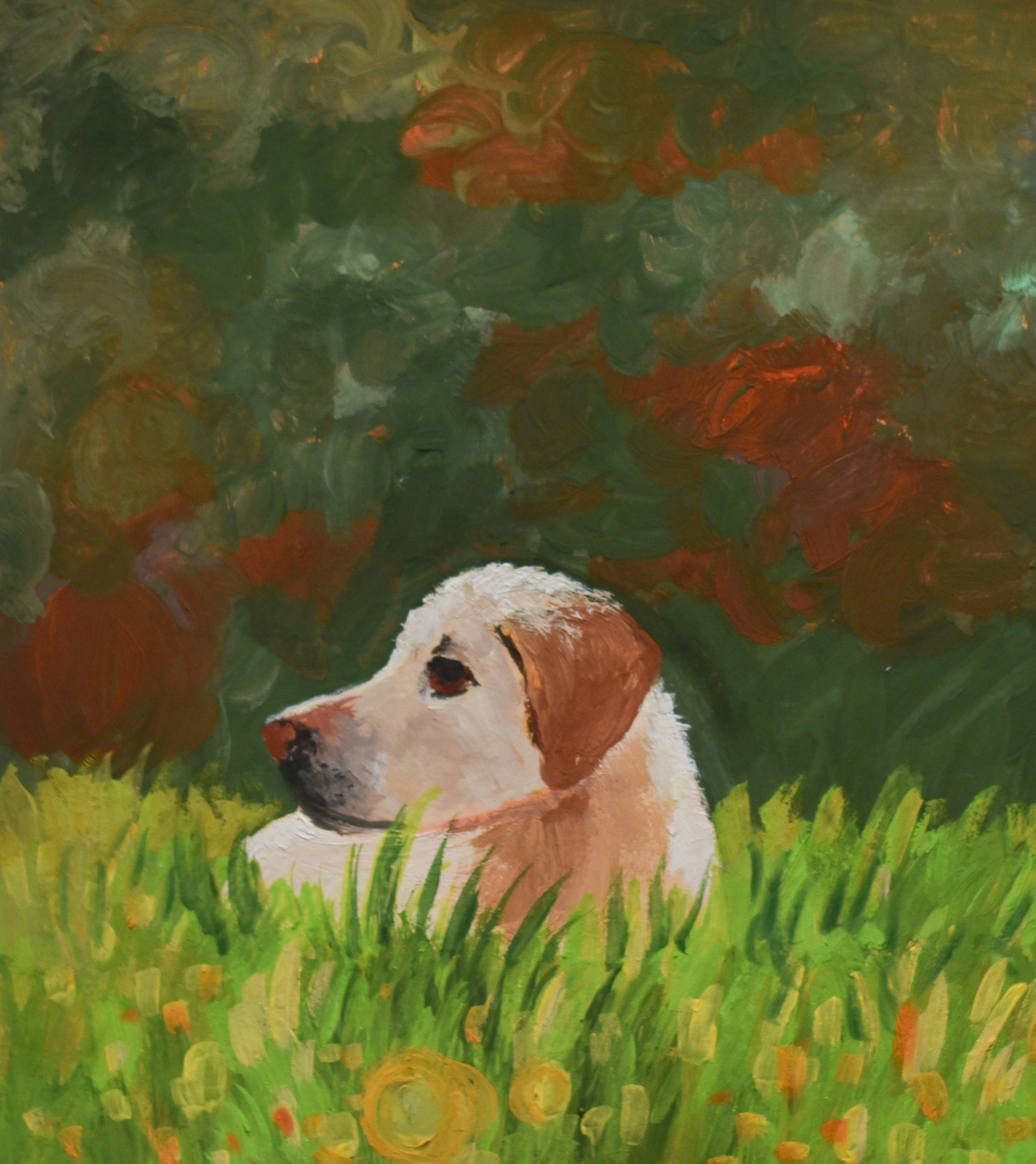 Иллюстрации. Фотограф в Санкт-Петербурге