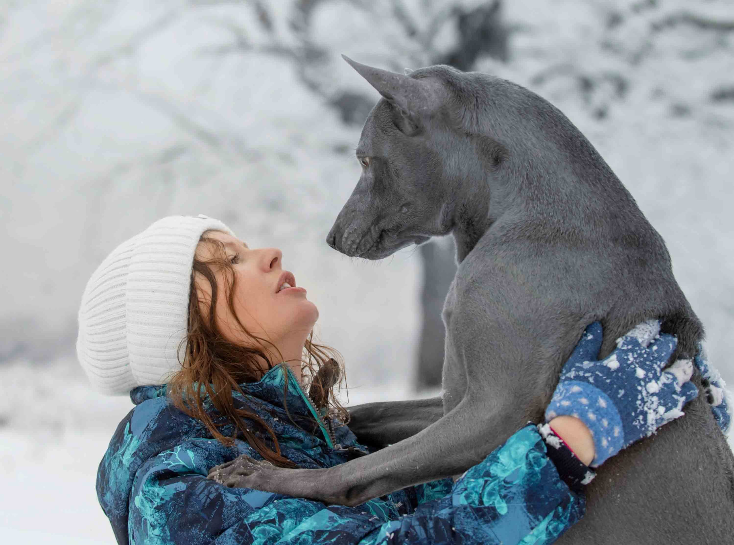 Фото с домашними питомцами. Портретная и свадебная фотосъемка. Москва и область