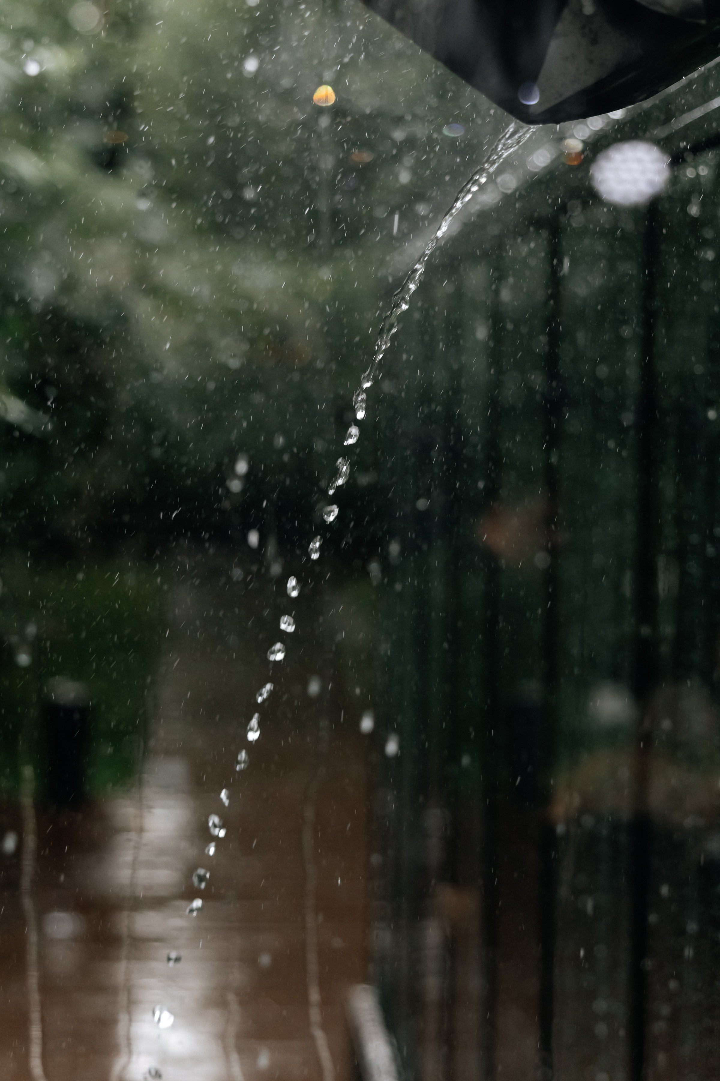 Максим и Саша. Свадебный фотограф в Москве Артём Кившарь