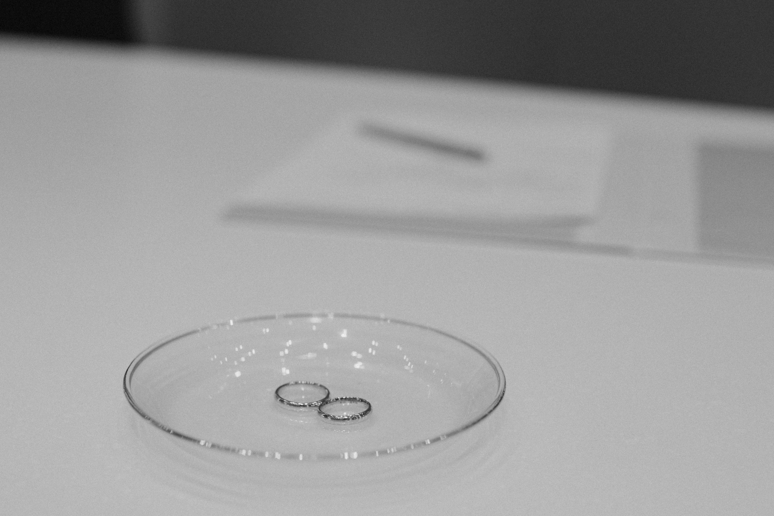 Марина & Никита. Роспись и прогулка. Семейный фотограф в Москве