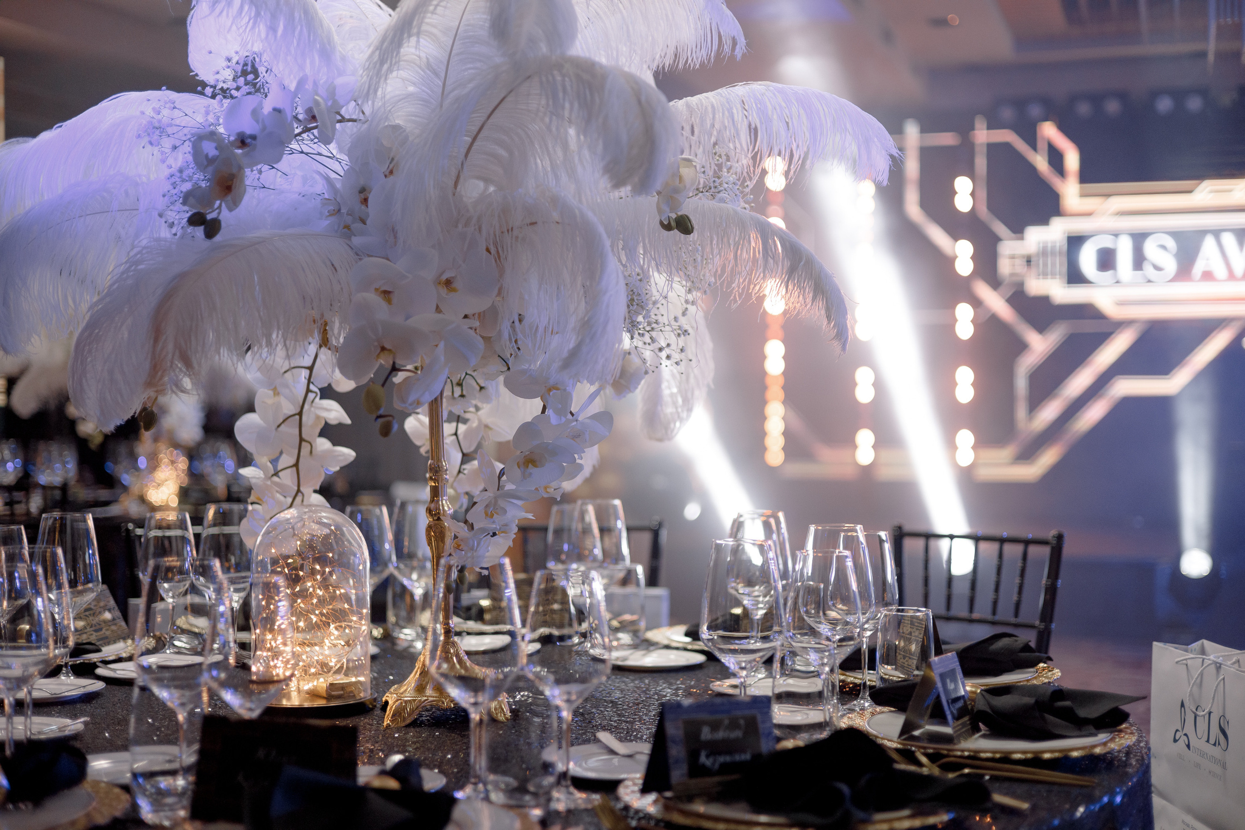 CLS Gala-Diner REPORTAGE. Антон Прокопенков Свадебный Фотограф +7(916) 013-35-12