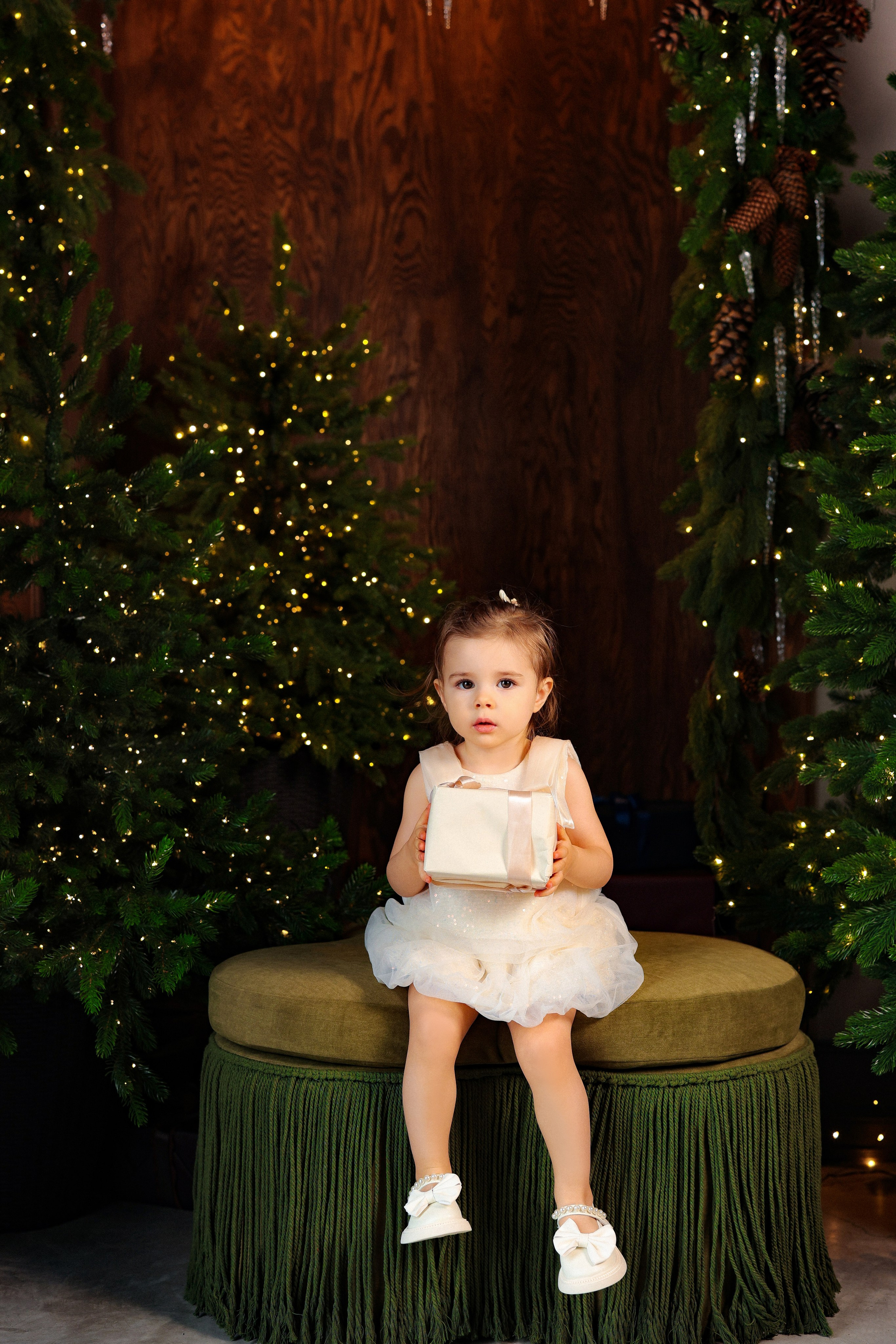 2026 НОВОГОДНЕЕ