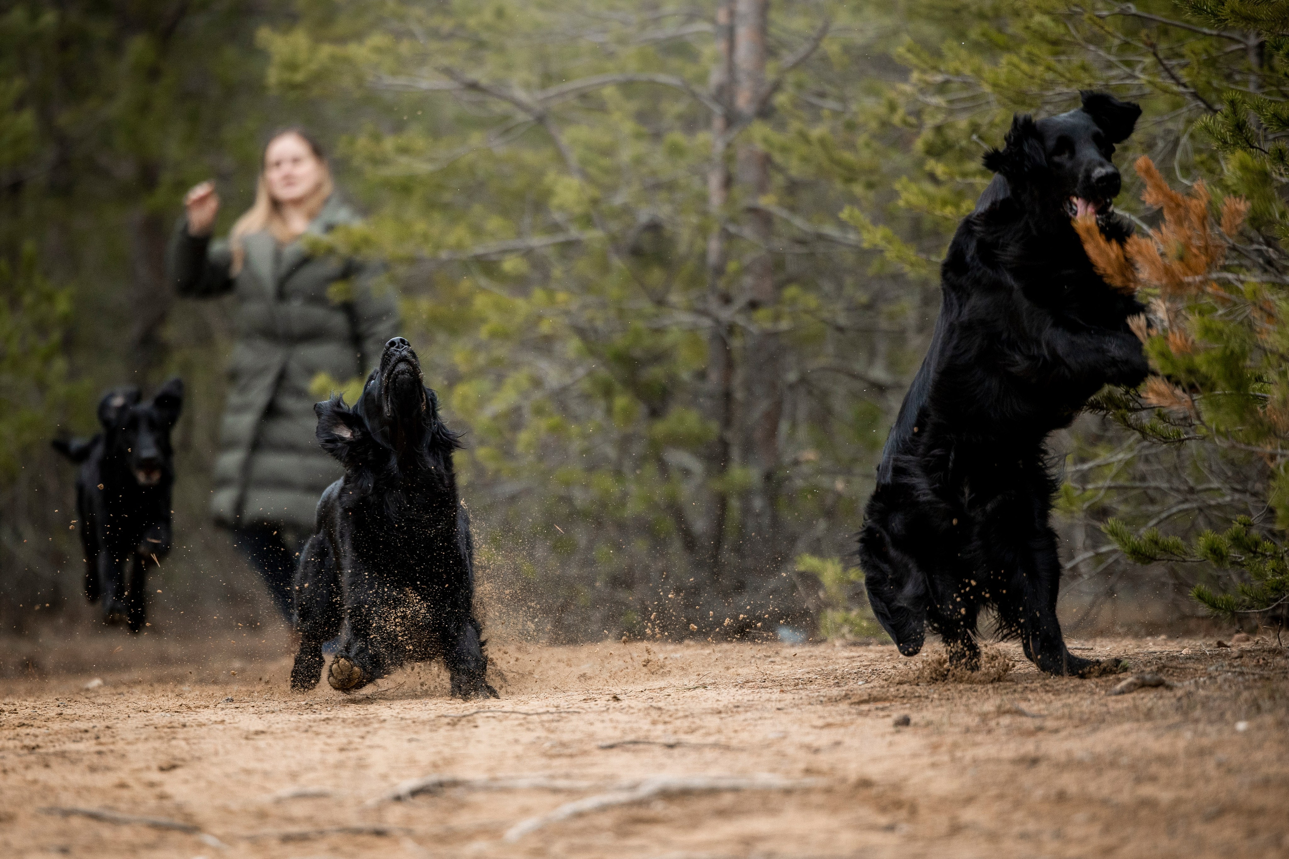 Ора, Ева, Рози и их семья. Фотограф — Анималист | Санкт-Петербург