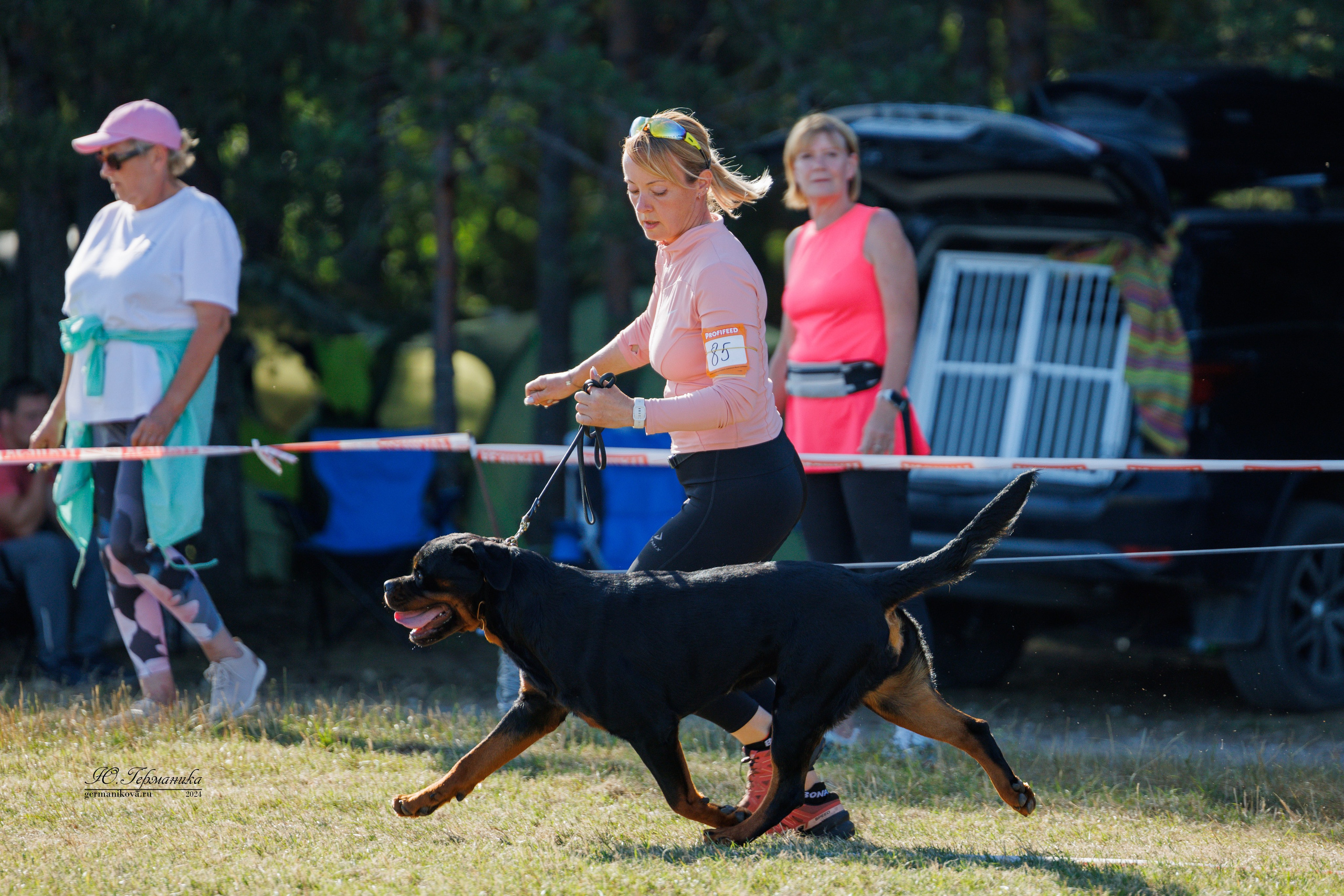 ПК и КЧК ротвейлеры Тверь 6-7.07.2024. Фотограф-анималист Юлия Германика