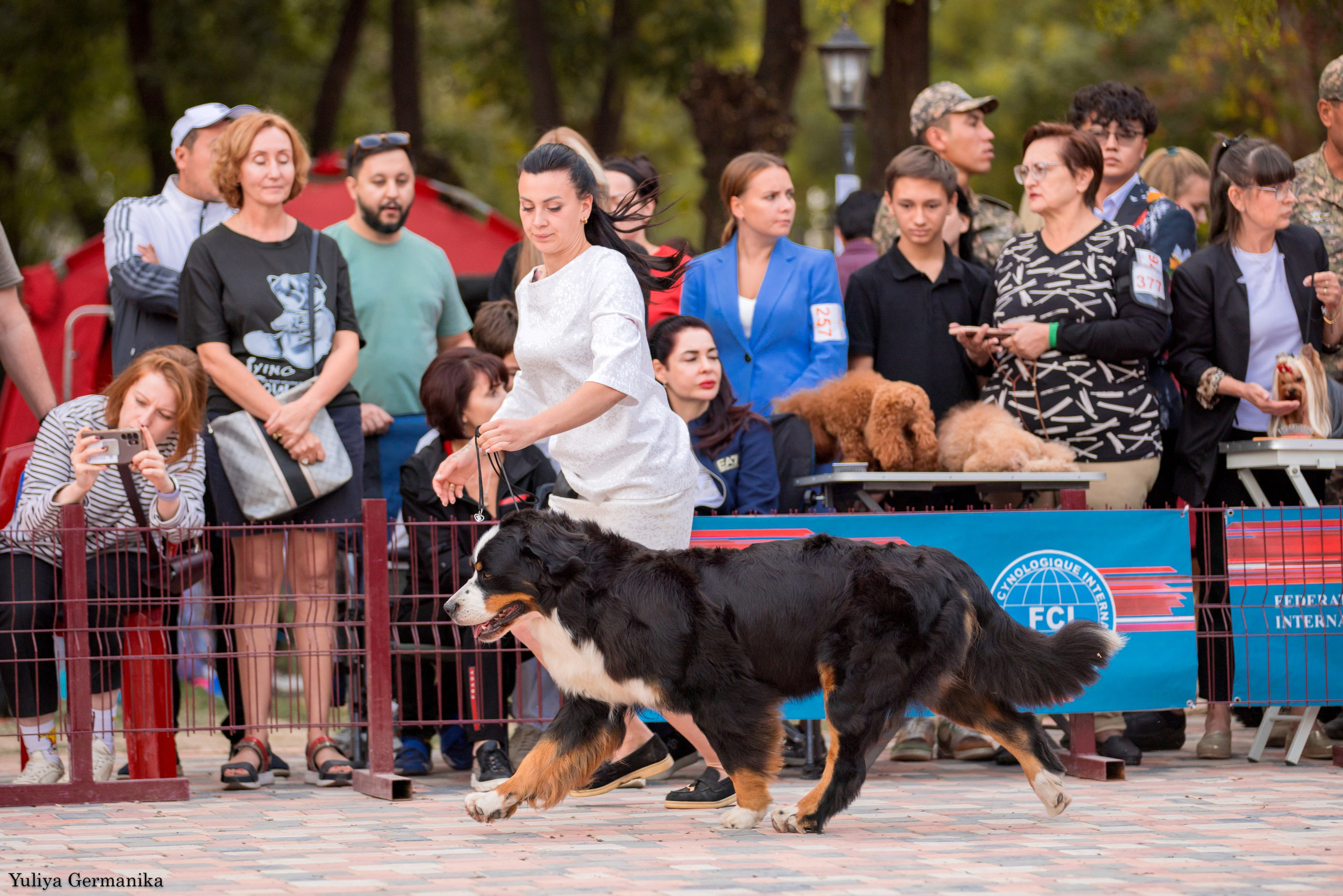 Ташкент 6-8.10.2023 + Алматы 14-15.10.2023. Фотограф-анималист Юлия Германика