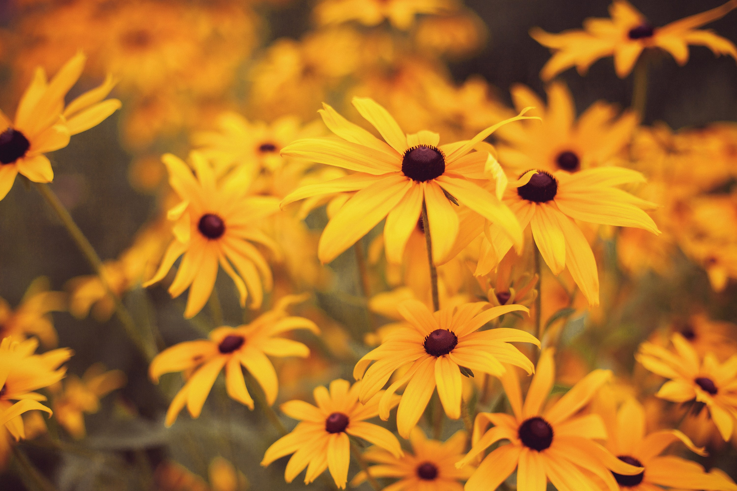 Шура / Алматы. Фотограф Наталья Гончарова. Снимаю живые портреты в Алматы