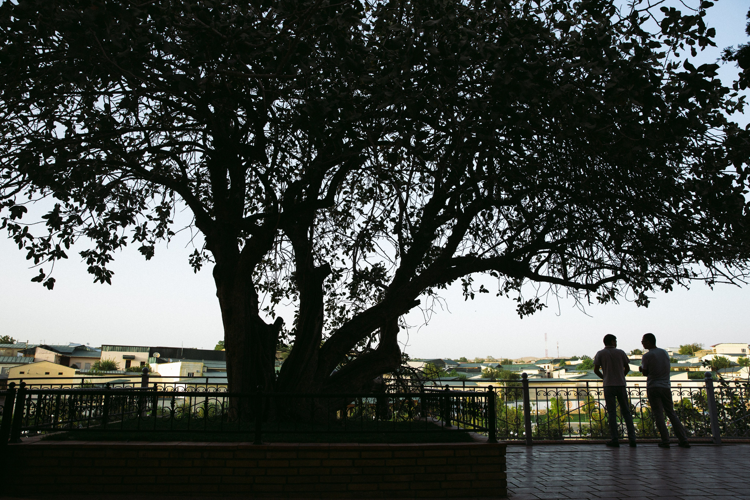 Uzbekistan. Lena Sorokina photographer, Astana, Kazakhstan