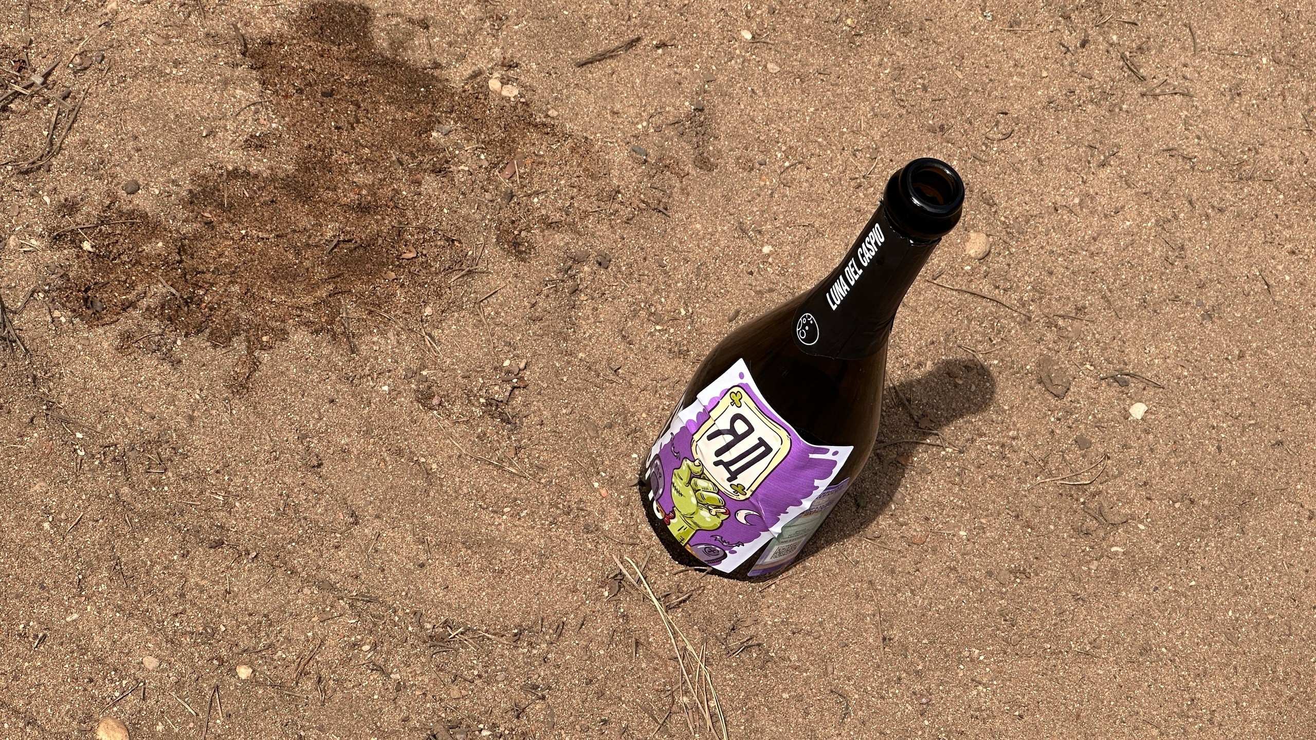 Походная Романтика 48. Зомбический уикенд | 27 — 29.06.25. Галерея Фантим