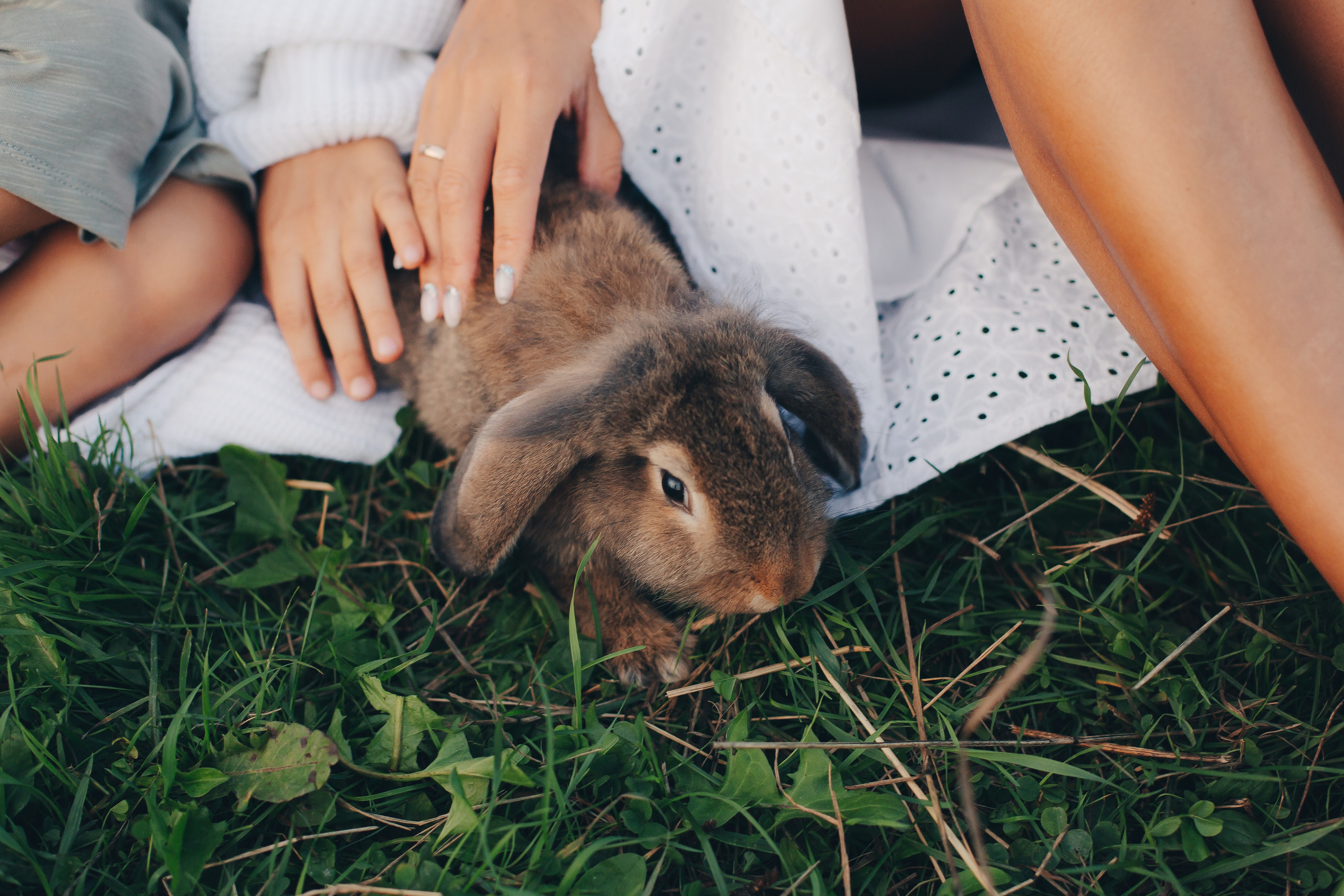 Фотосессия на конюшне. Фотограф Евгения Мальцева, Архангельск