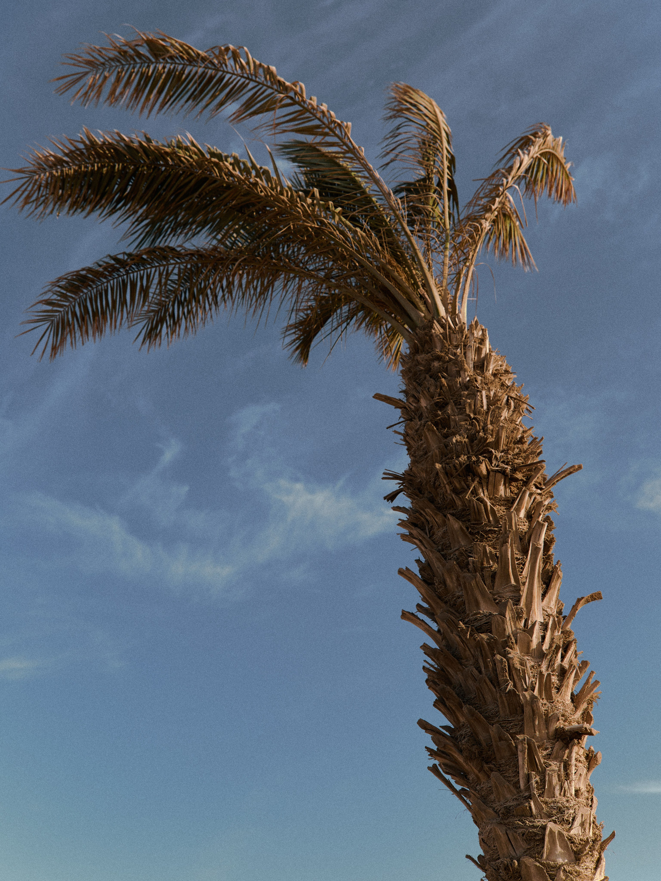 Диптих. Jorgis — фотограф в Хургаде / обучение фотографии