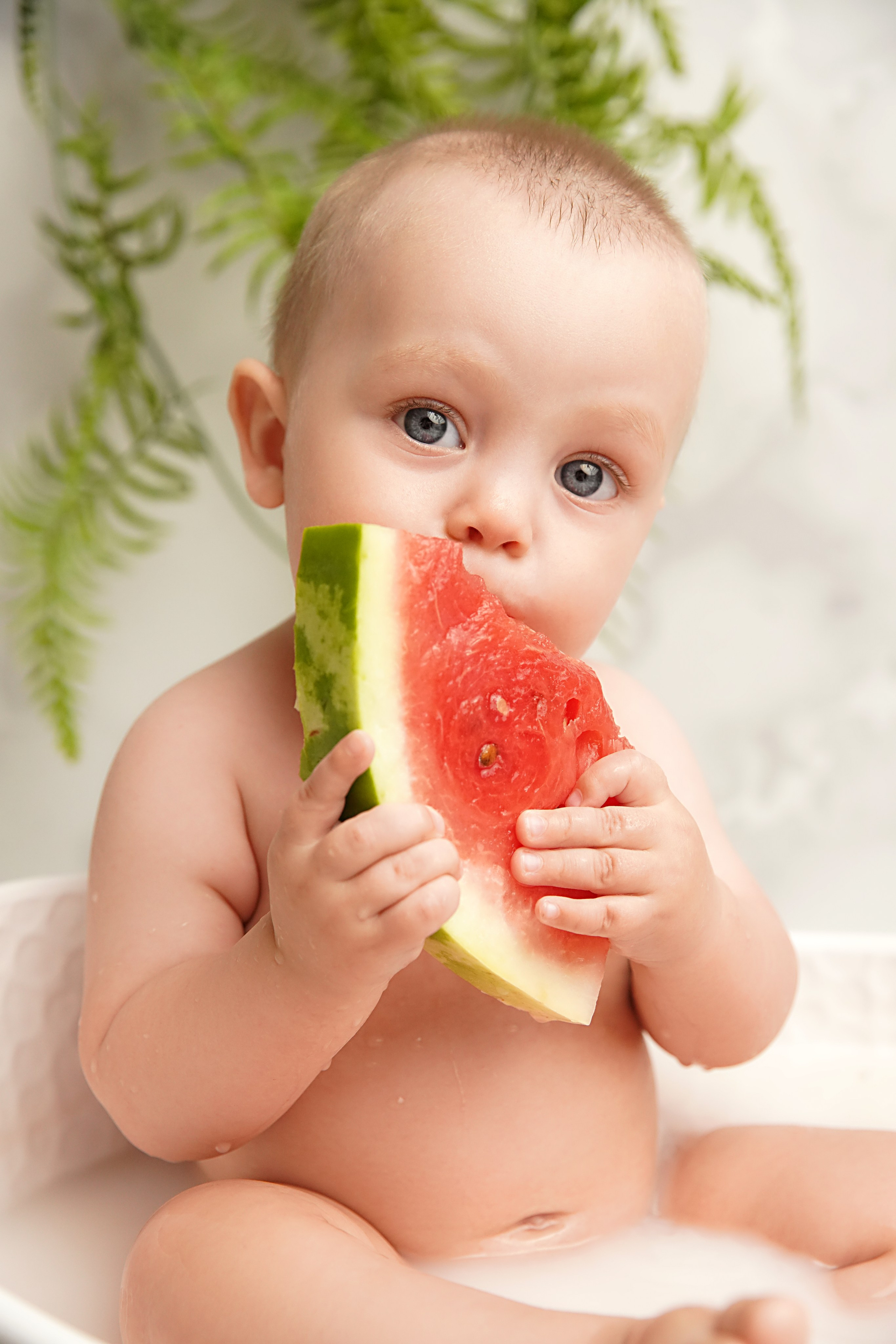 Ванночка мальчики. Фотограф новорожденных. Семейный и детский фотограф в городе Сургуте