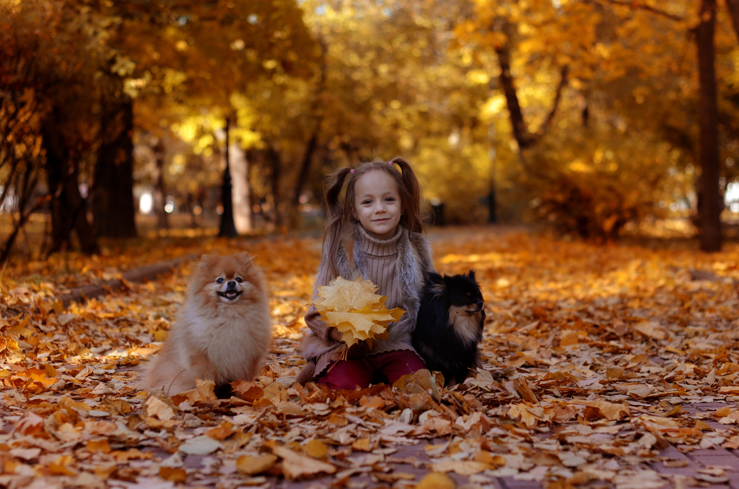 Осень. Детский фотограф в Москве