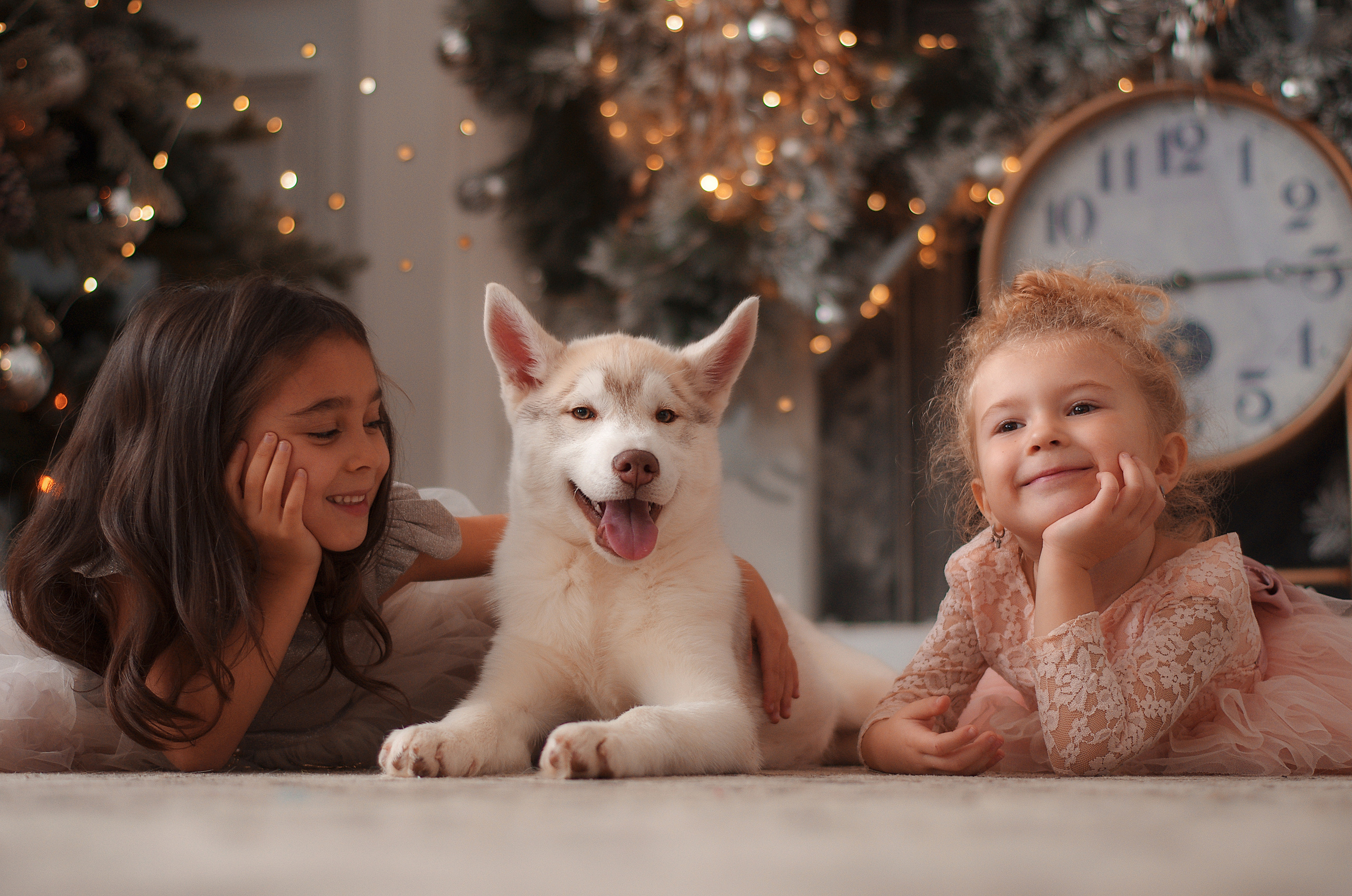 Студия. Детский фотограф в Москве