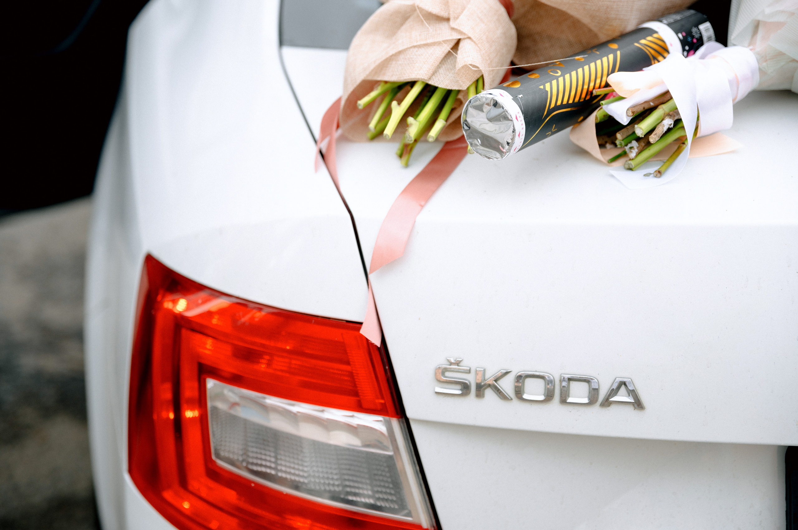 КСЮША И АНТОН. Шашкова Вероника / Свадебный и семейный фотограф Москва и Ярославль