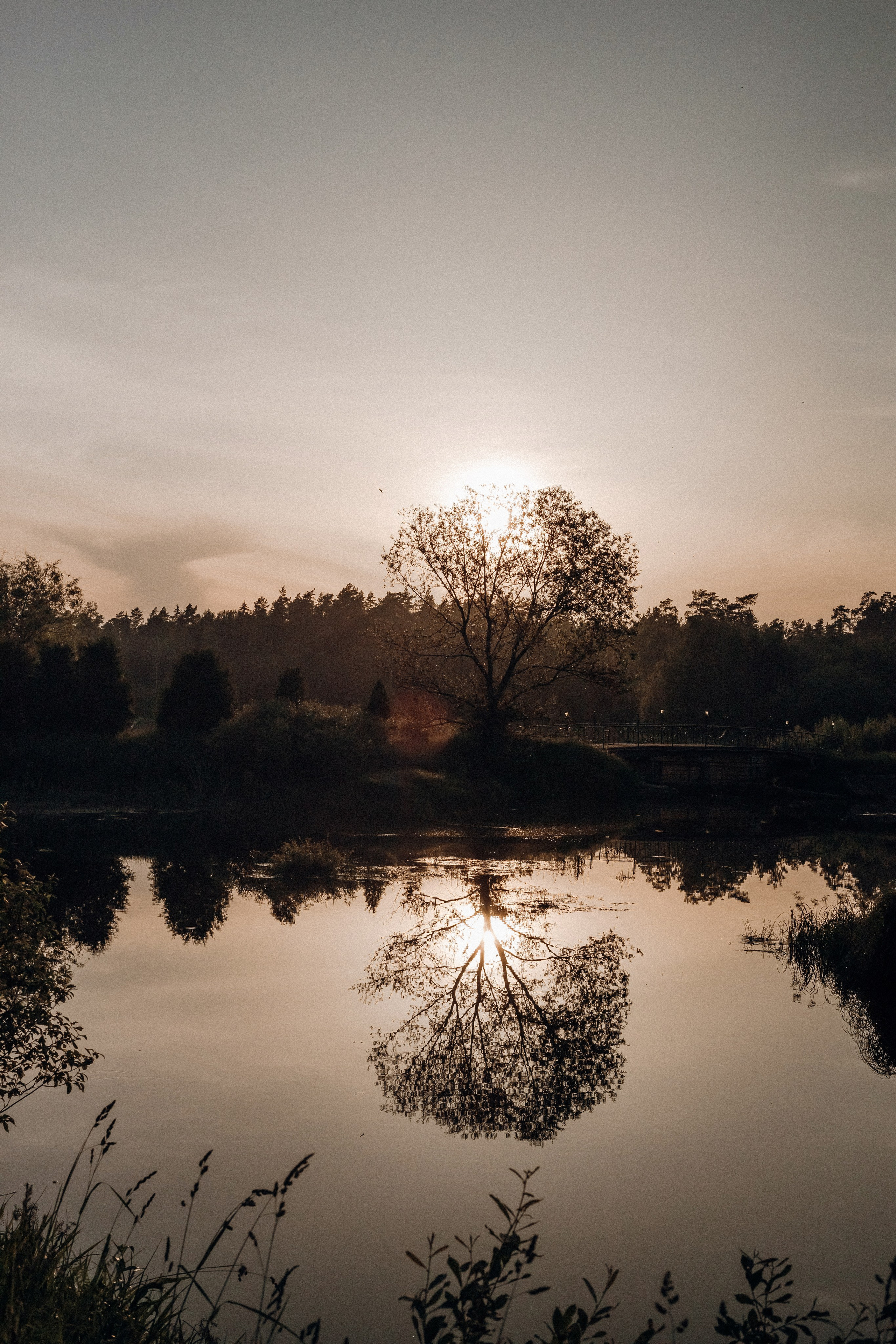 Влад и Наталья. Семейный фотограф в Брянске Зурилина Екатерина