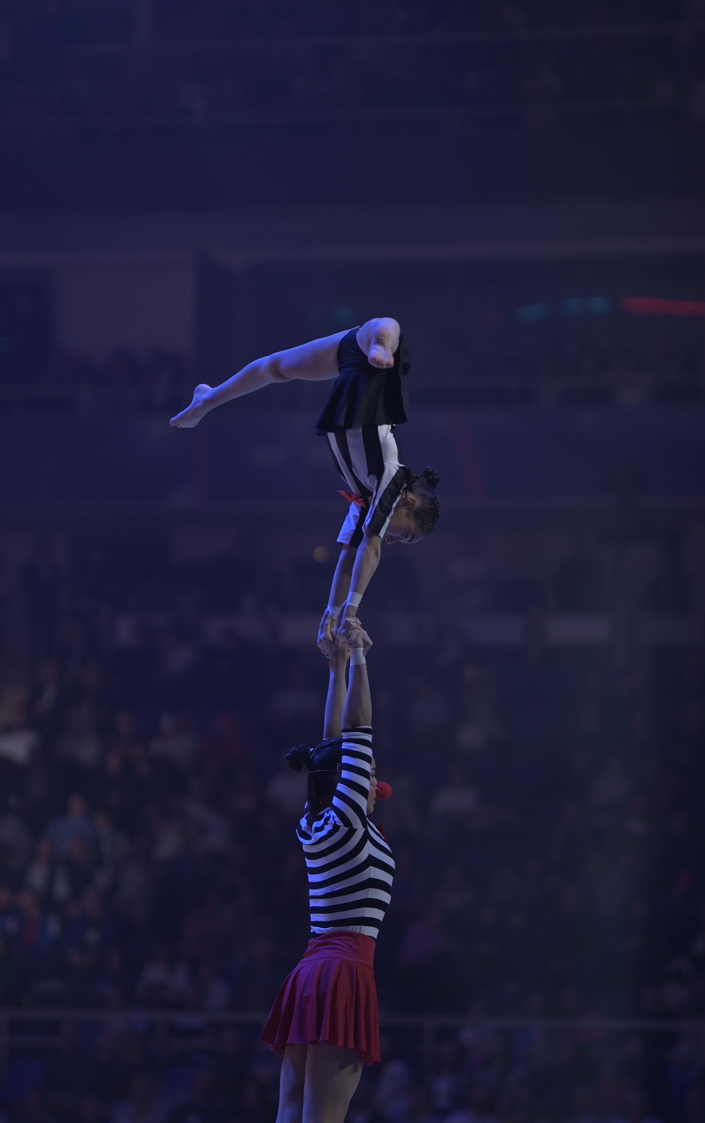 Шоу Алексея Немова 2024. Фотограф Ваших событий 📸