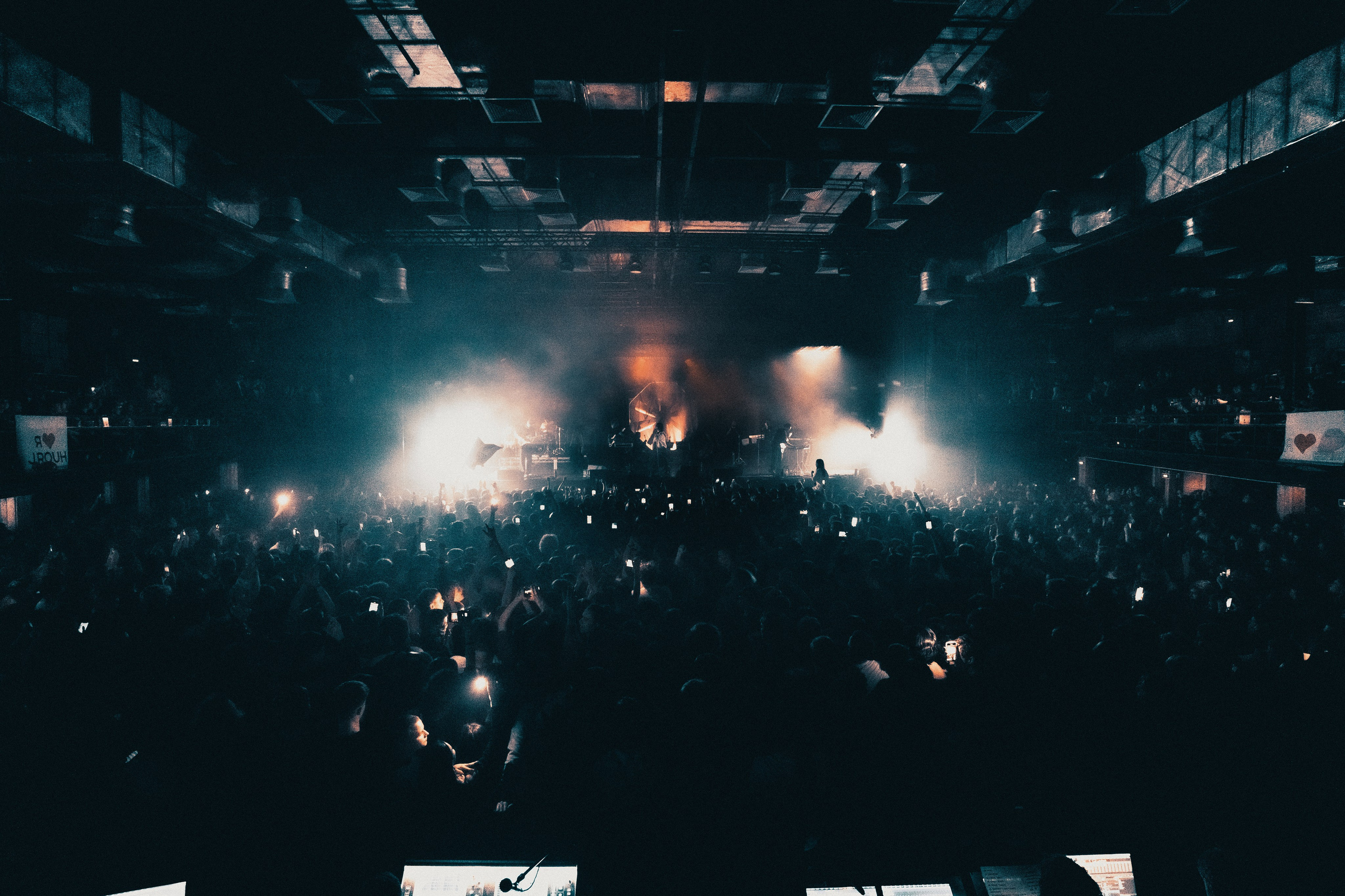 SALUKI. PASHAHARCE PHOTOGRAPHER & VIDEOGRAPHER