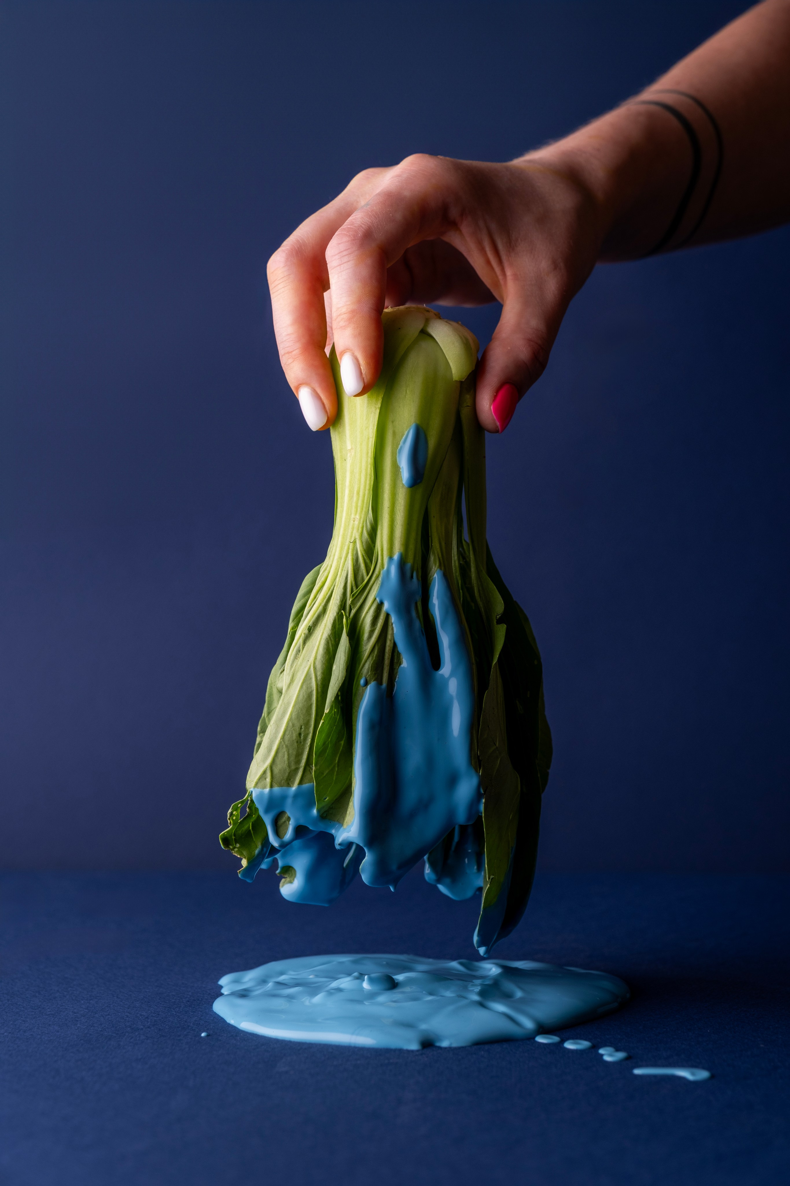 Блюда. Фото тур