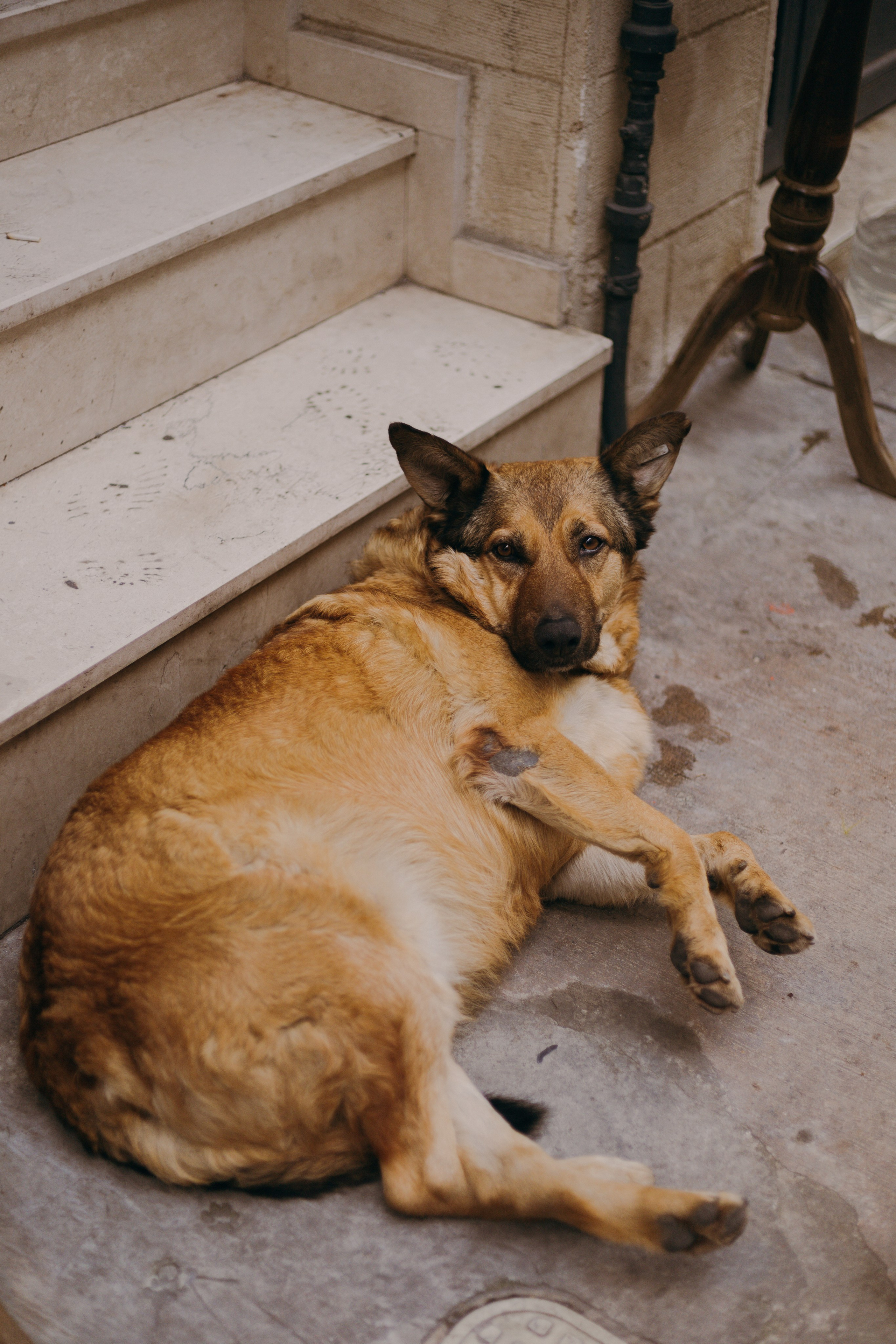 Стамбул. Профессиональный Фотограф во Владимире, в Москве и в Суздале — Полина Романычева