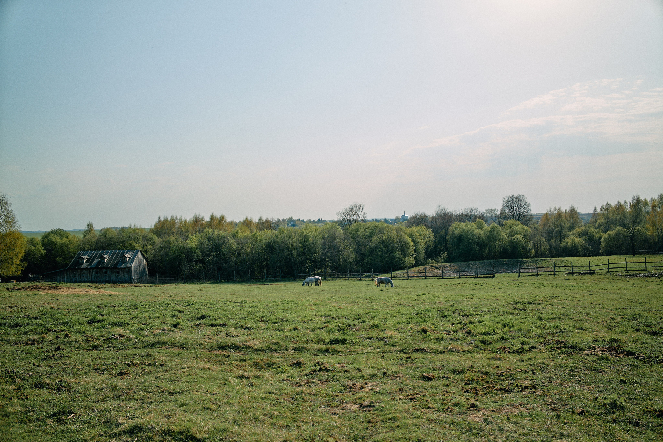 Бутик-отель Поле летом. Профессиональный Фотограф во Владимире, в Москве и в Суздале — Полина Романычева