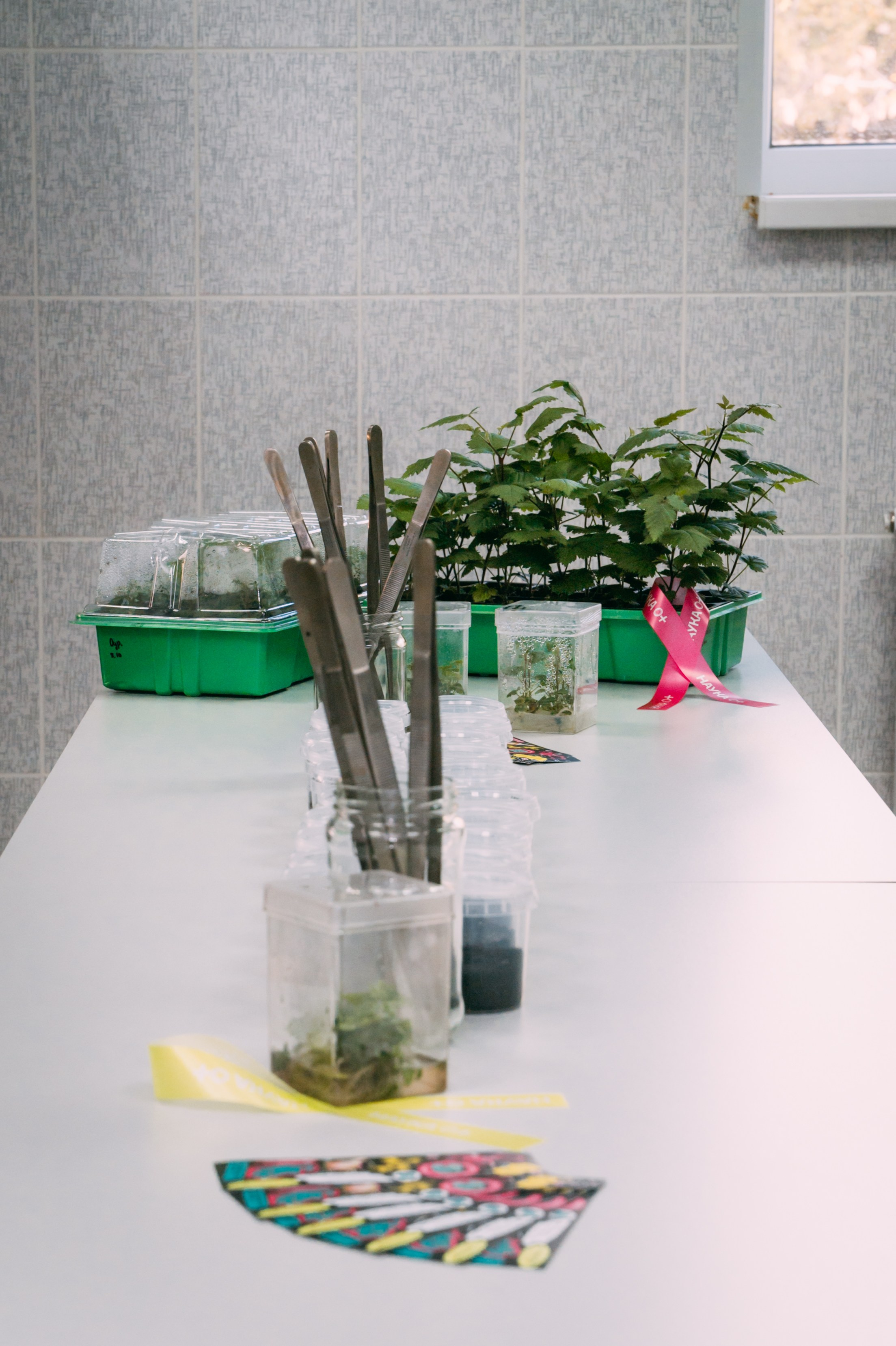 Международная конференция РАН