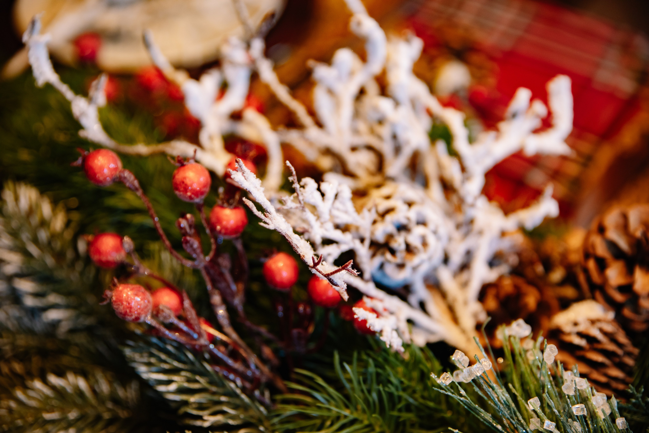 Ангелина. Фотограф в Москве Яна Полосина