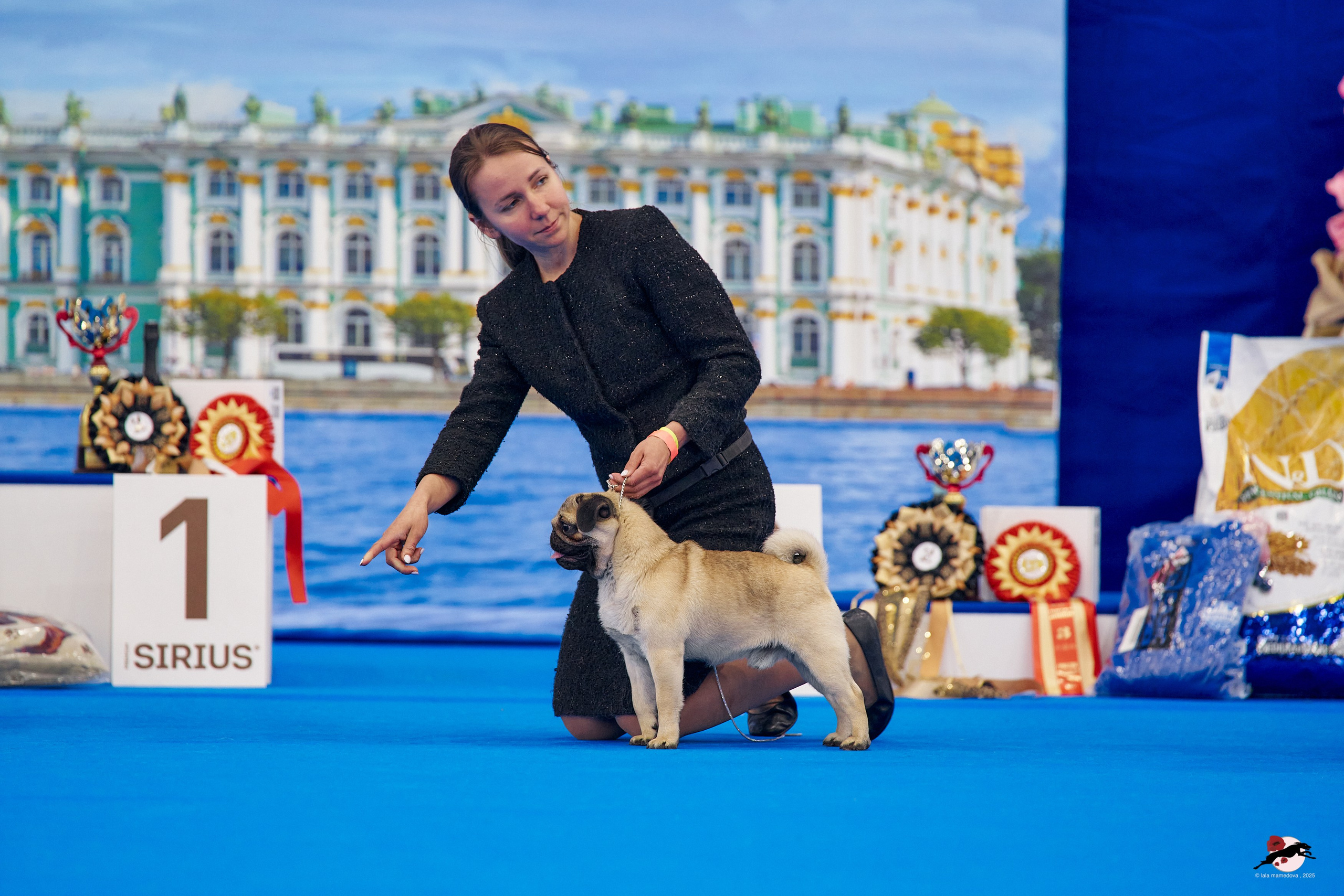 27.04.2025 | "Петербург-Элита 2025" & «КУБОК «ЭЛИТЫ»-2025»