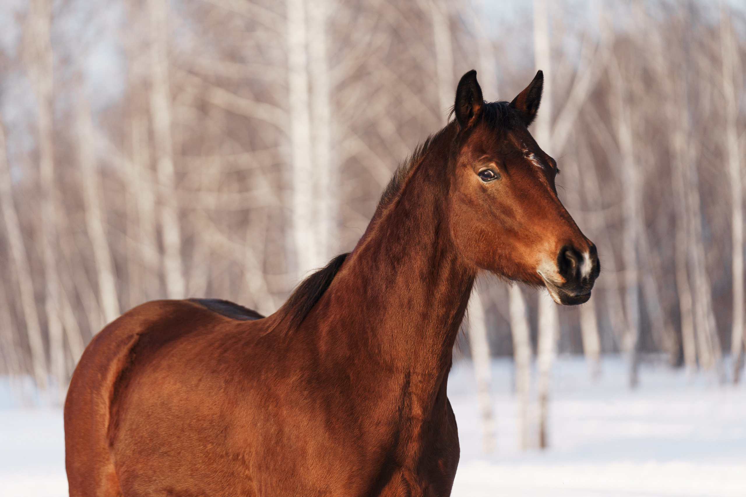 Онега. Главная