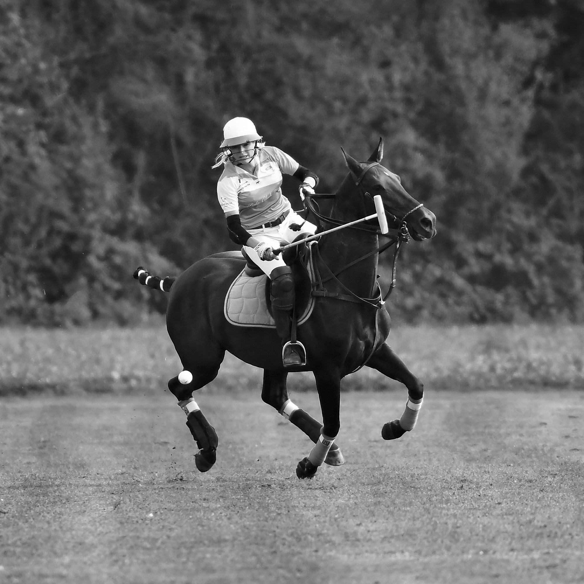 Polo art photos. Art photos of horses — ARTUR BABOEV | Photographer