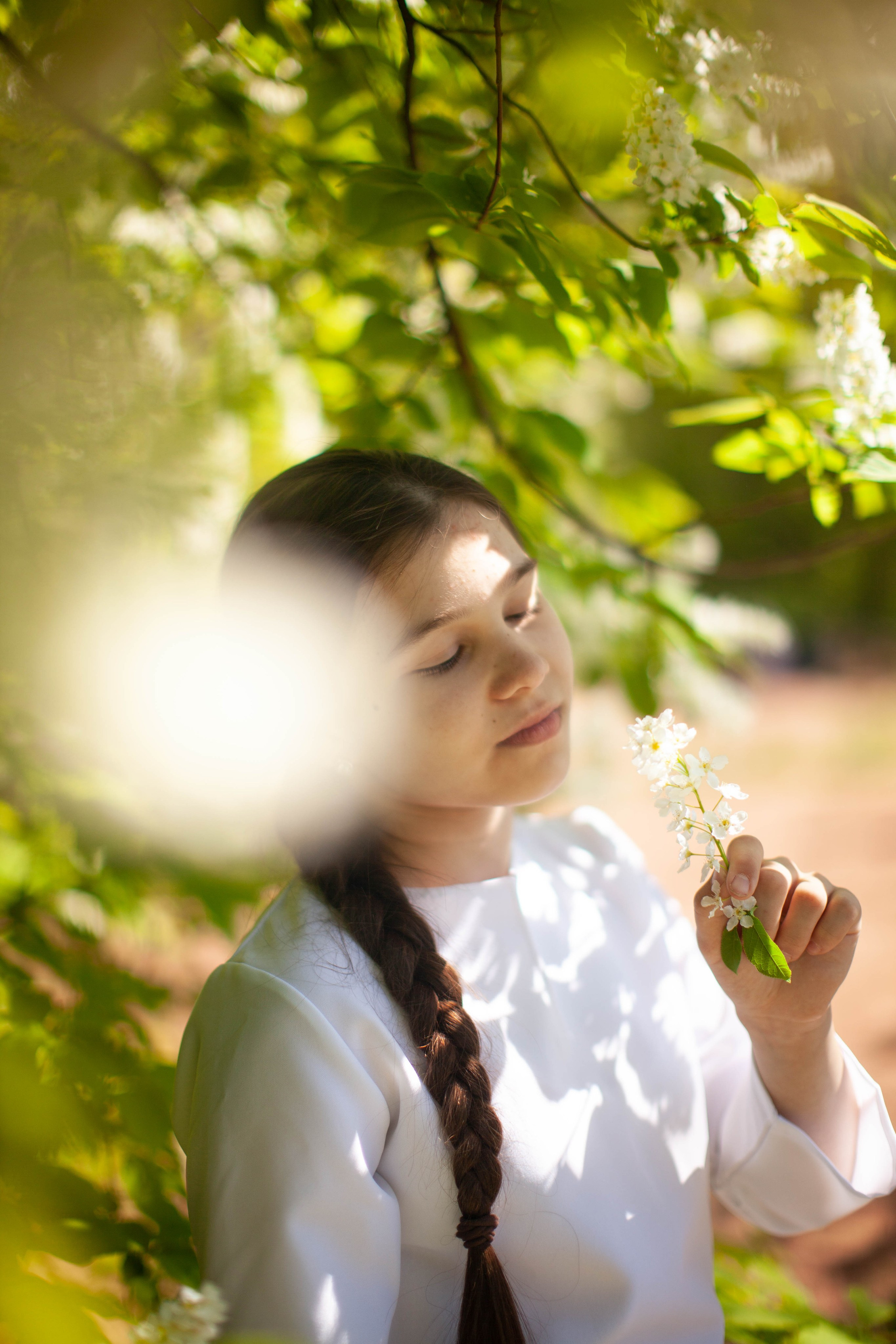 Летний день. Art my Pho