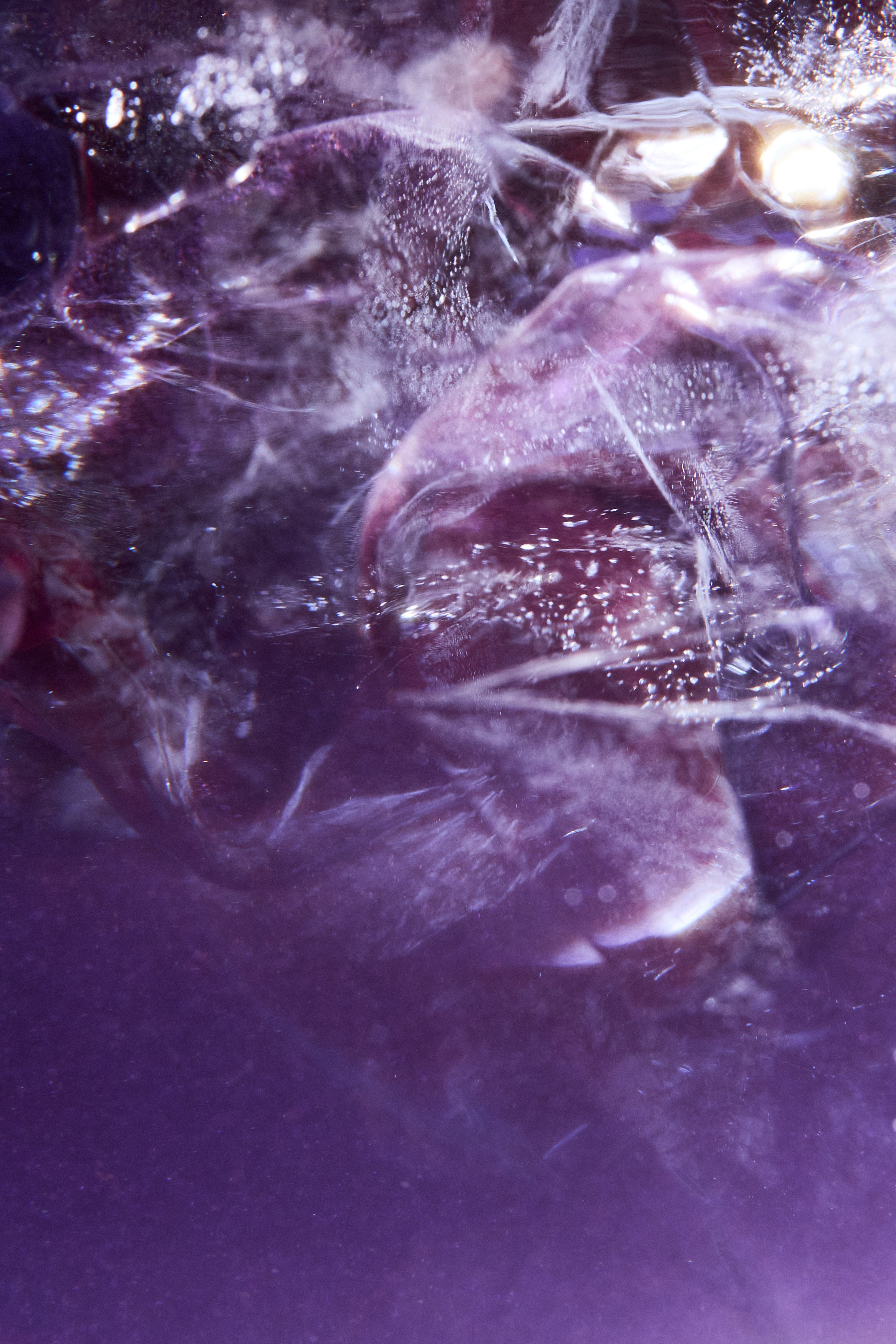 РЕСТОРАНЫ. Контент фотограф в Москве Ник Фрост