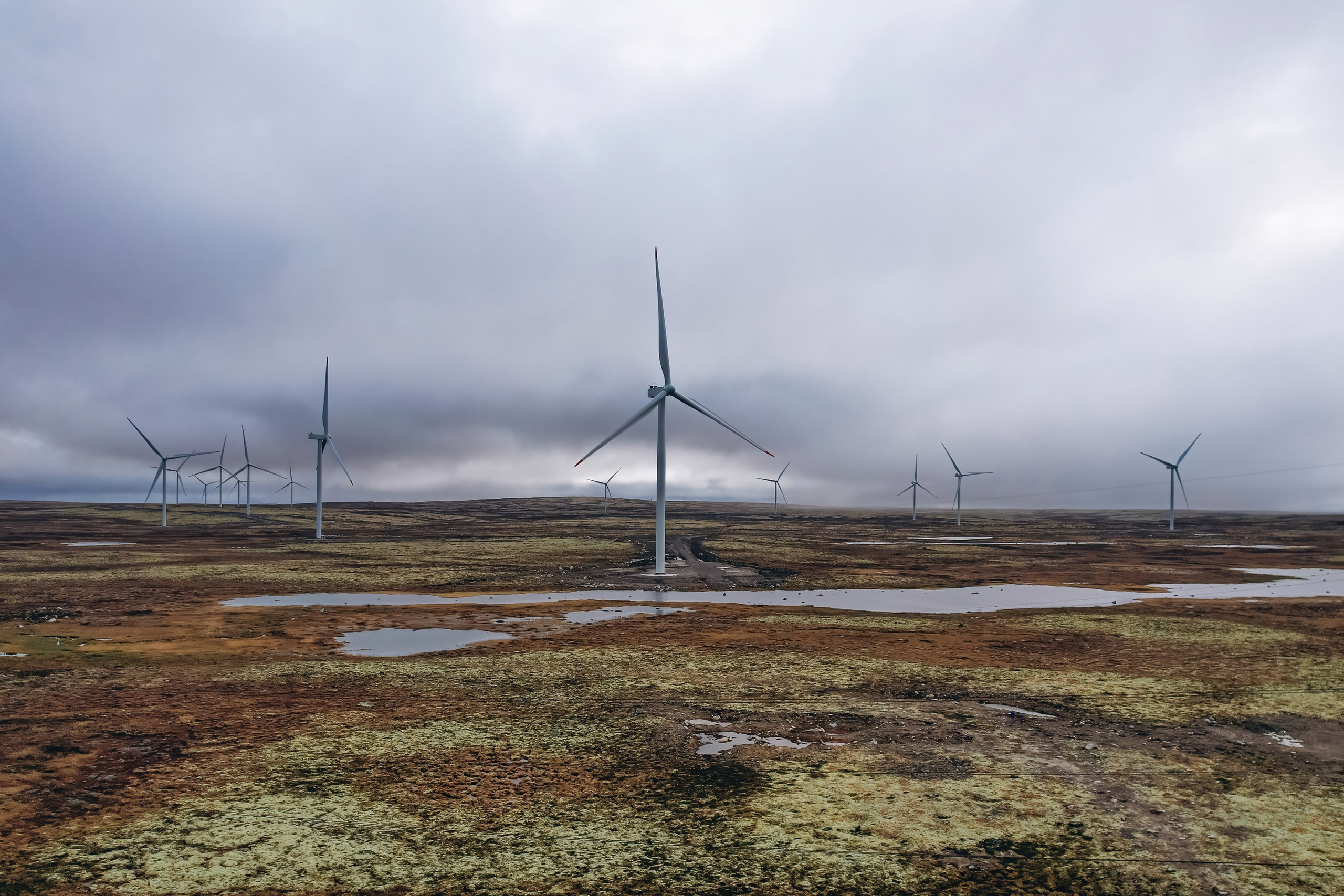 СЕВЕР. Event фотограф Степанова Александра