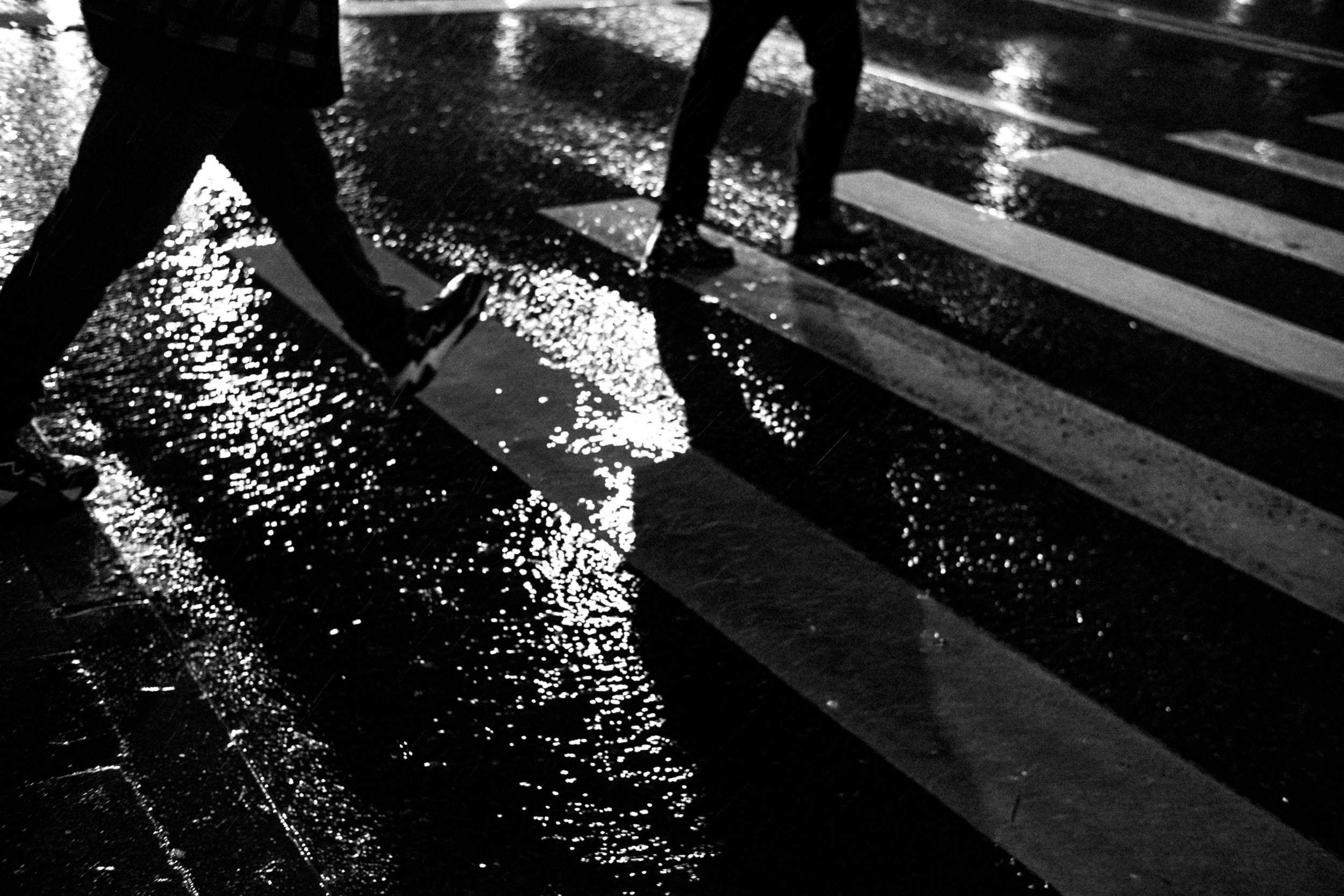 Дождь. Photographer Pavel Romashchenko