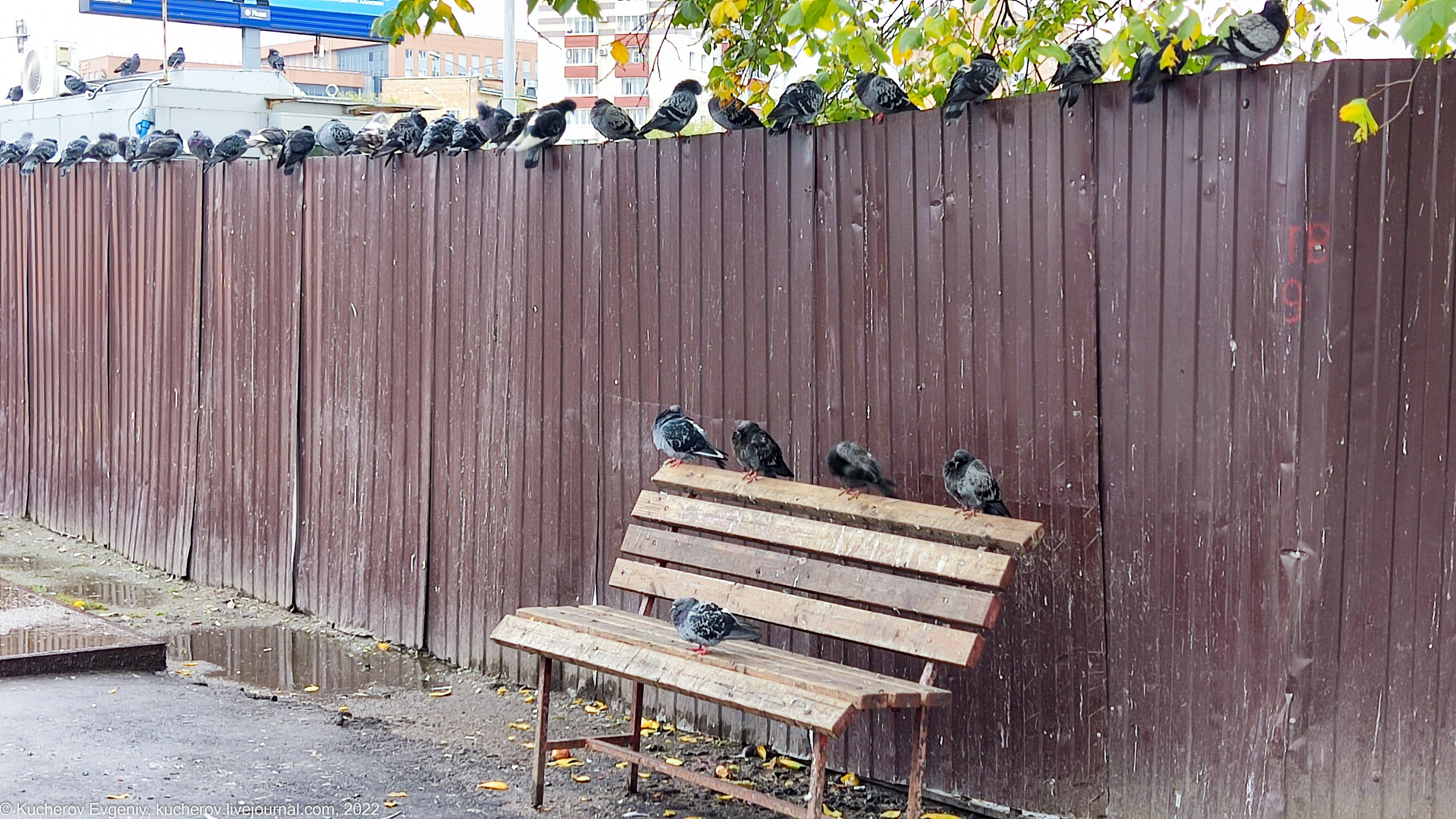 Бригада. Кучеров Евгений. Фотограф