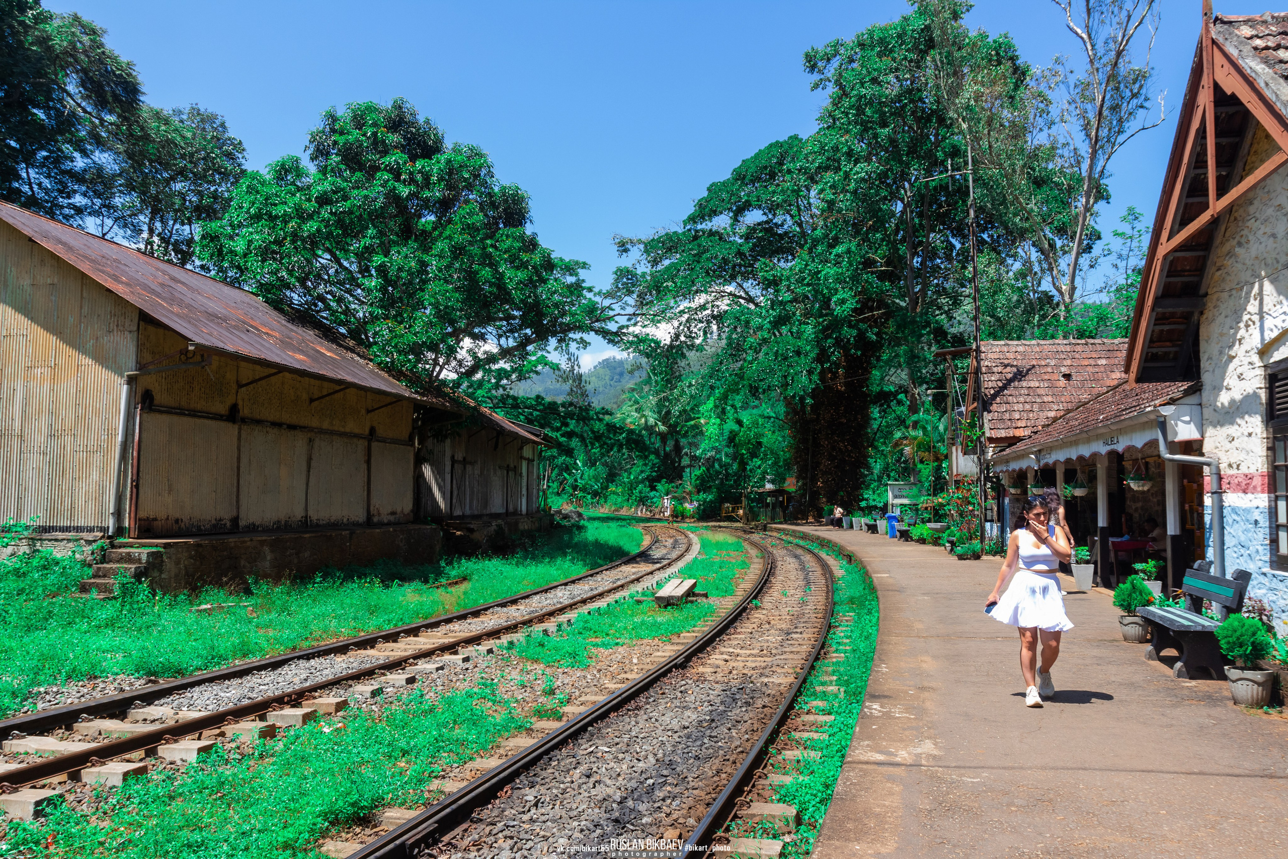 ШРИ-ЛАНКА 2025 / SRI LANKA 2025. Главная